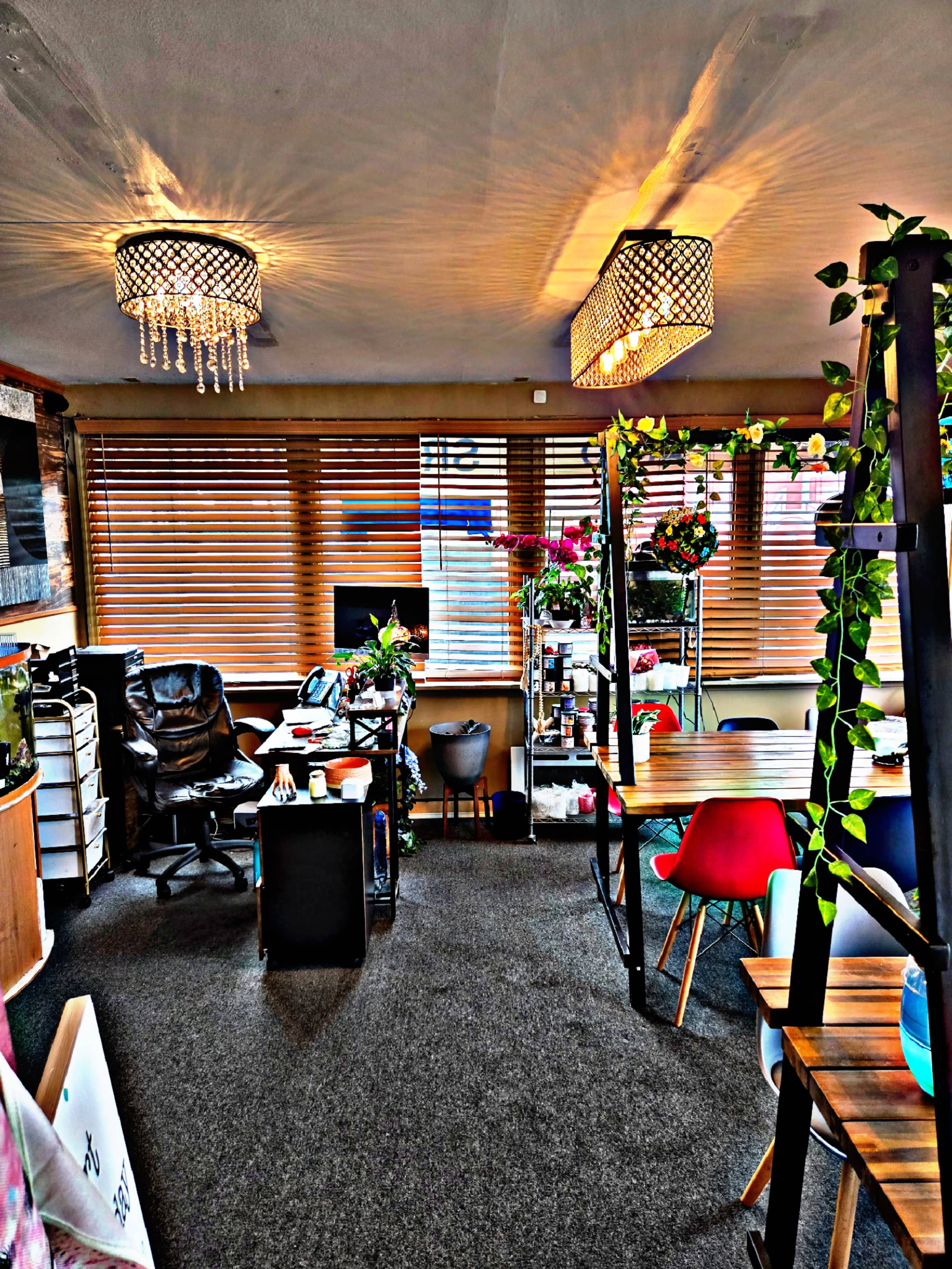 The image shows a cozy office space with two decorative light fixtures, wooden furniture, and plants hanging from the ceiling.