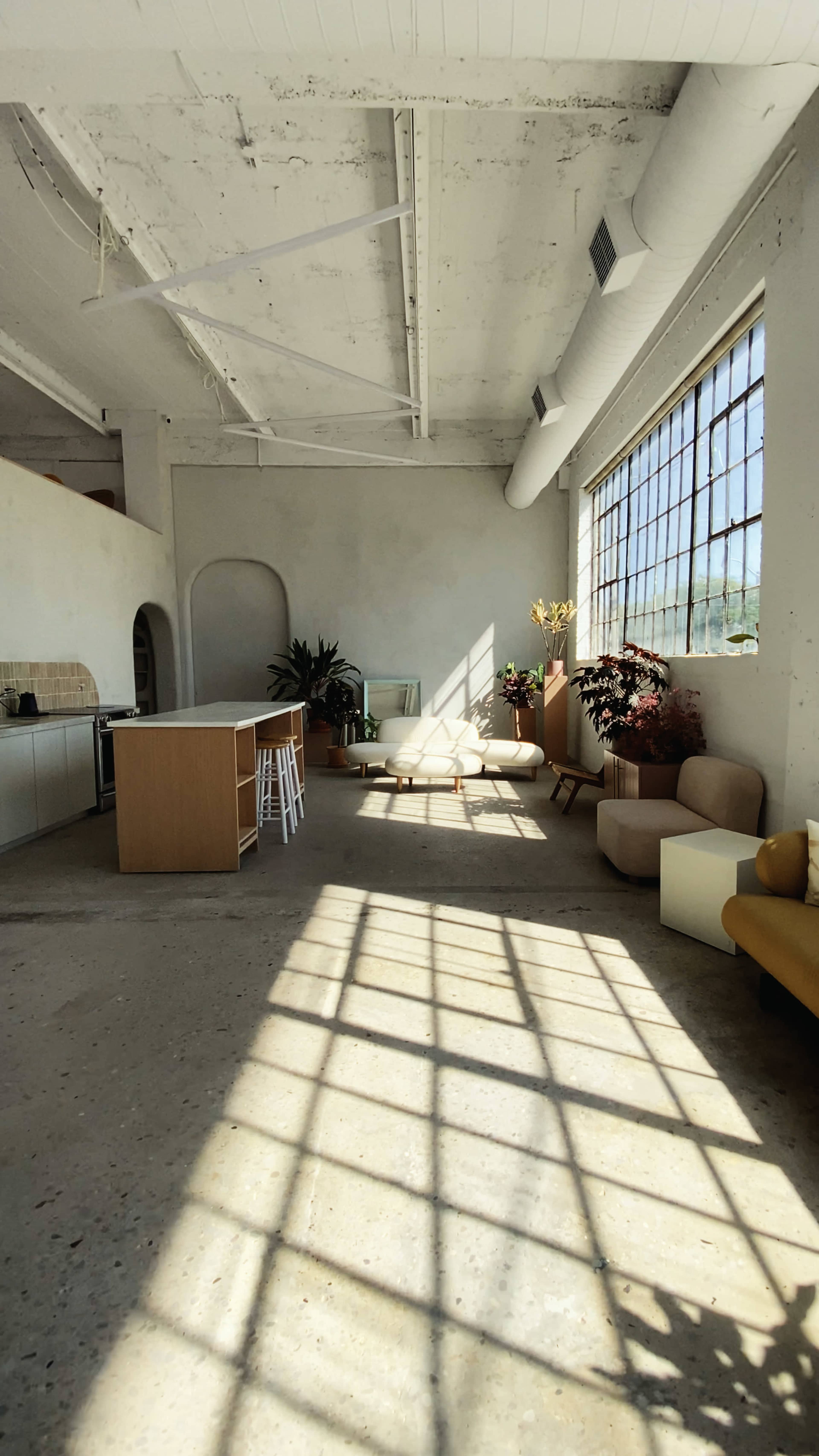 A spacious interior with a kitchen area, seating arrangements, plants, and large windows casting shadows across the concrete floor.