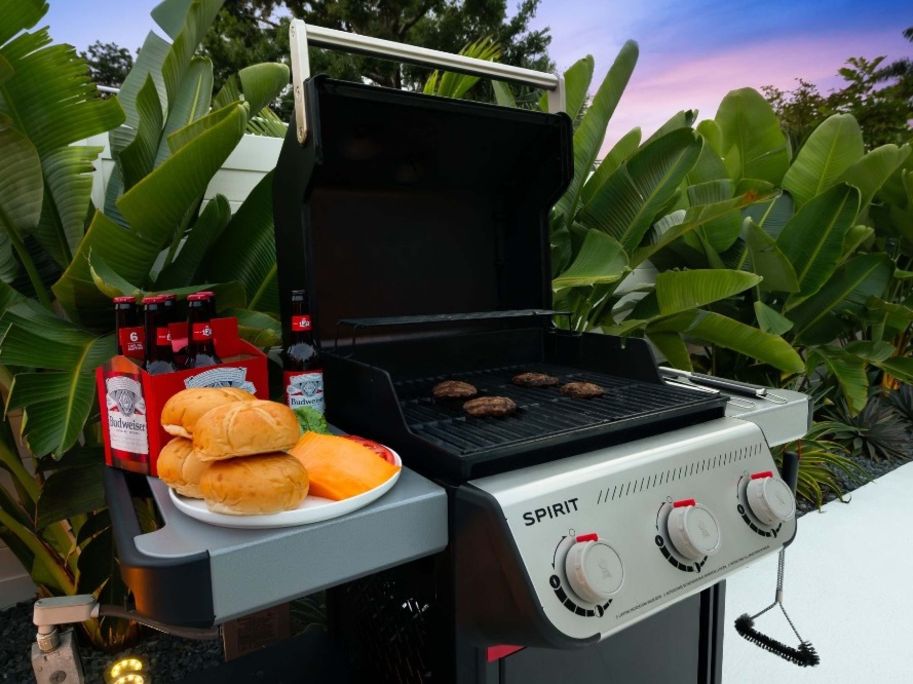 🍔 WEBBER BBQ/GRILL + PROPANE