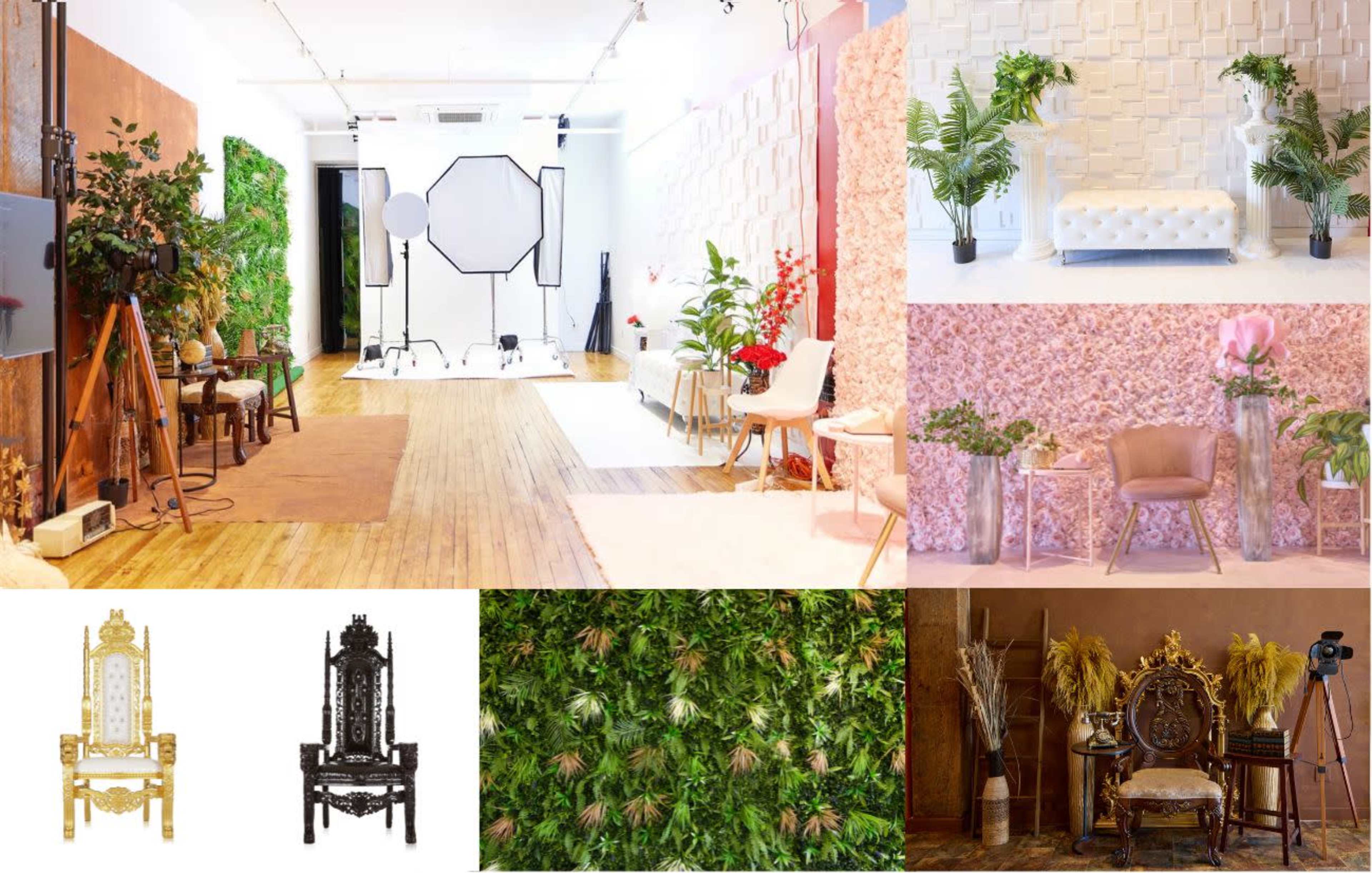 A multifaceted photography studio featuring various textured backdrops, lush greenery, decorative furniture, and unique seating arrangements.