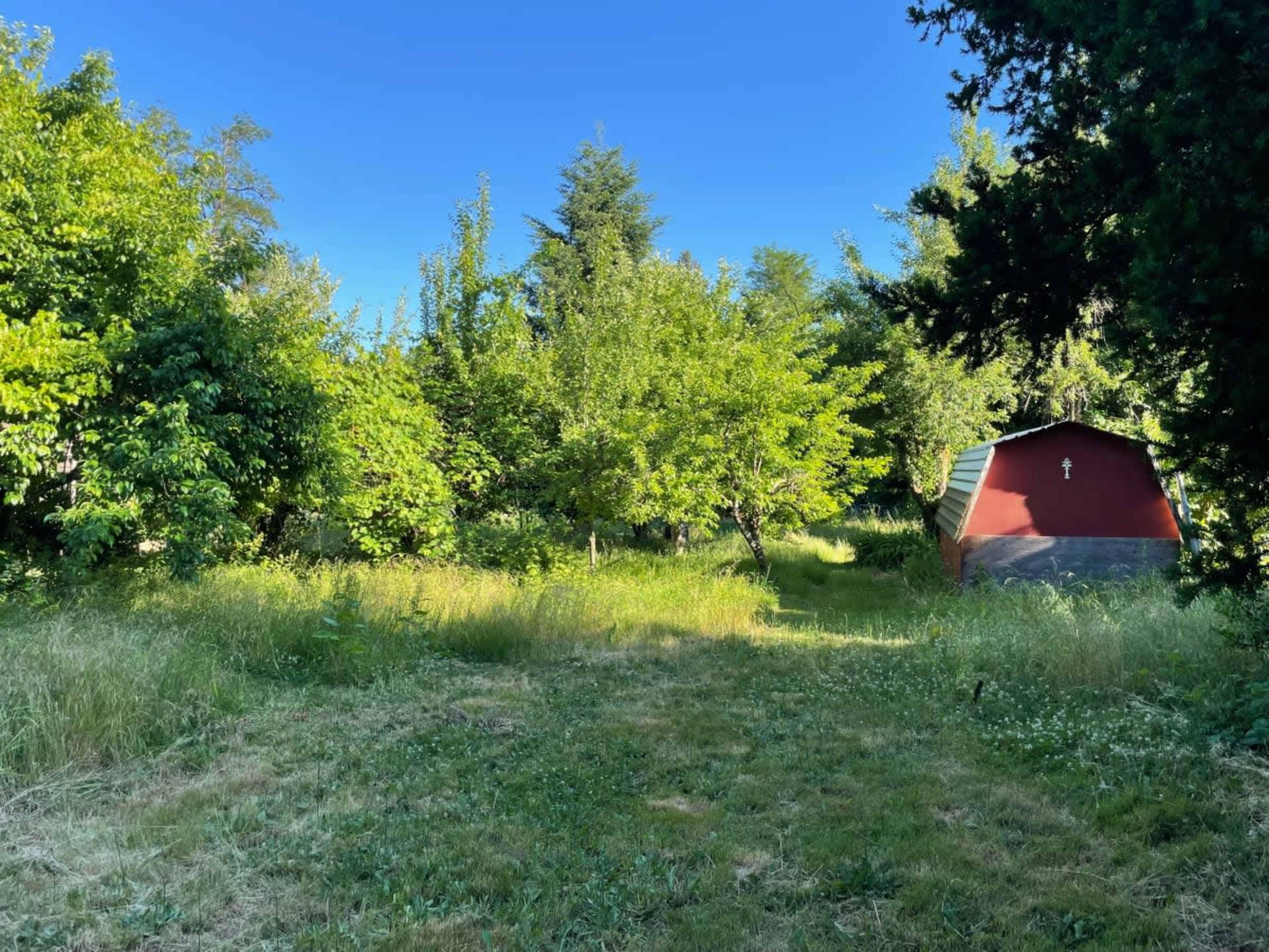 A small red shed is situated among trees and tall grass in a lush green yard.