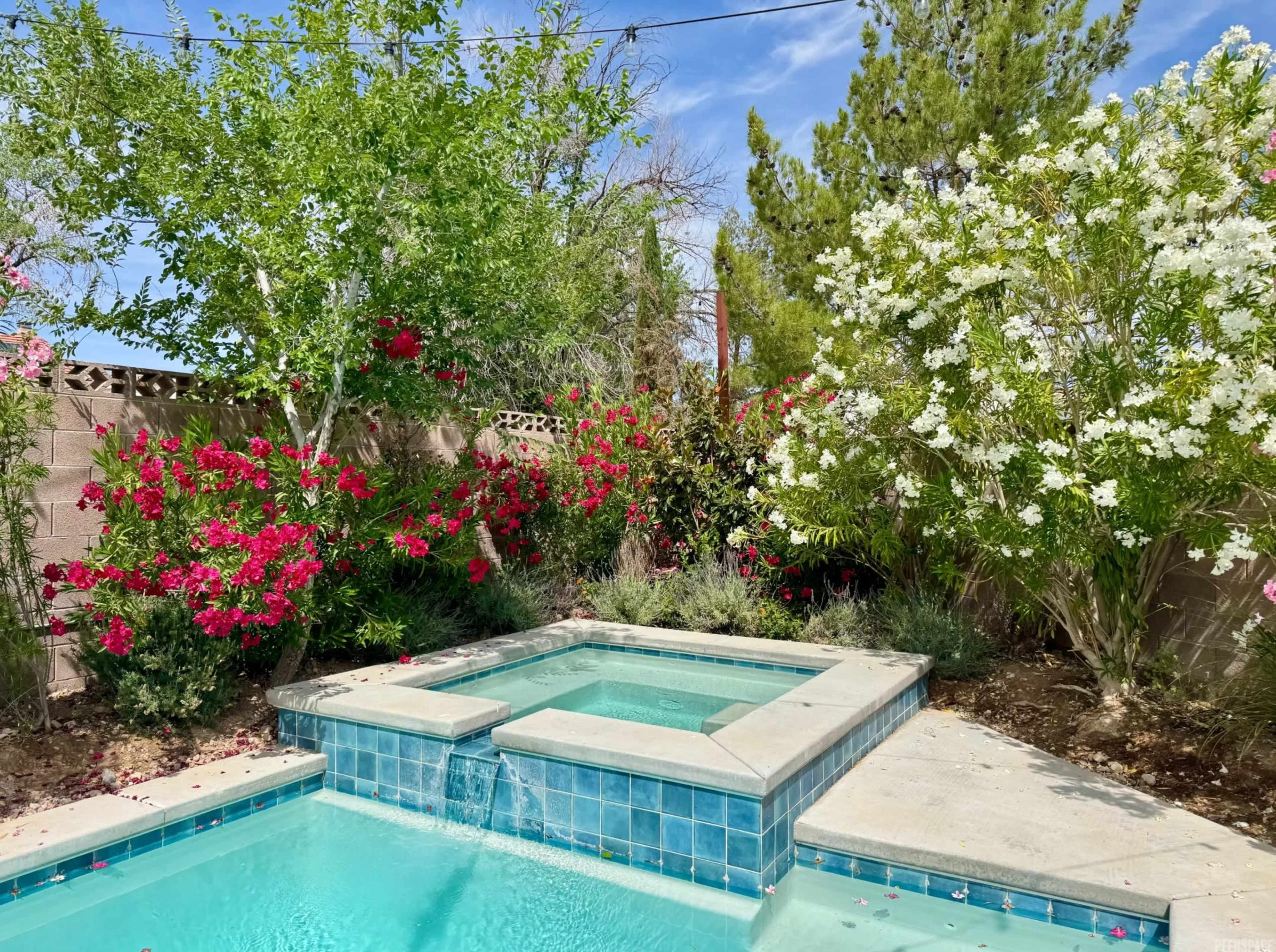 A small hot tub surrounded by vibrant flowers and lush greenery in a sunny backyard.