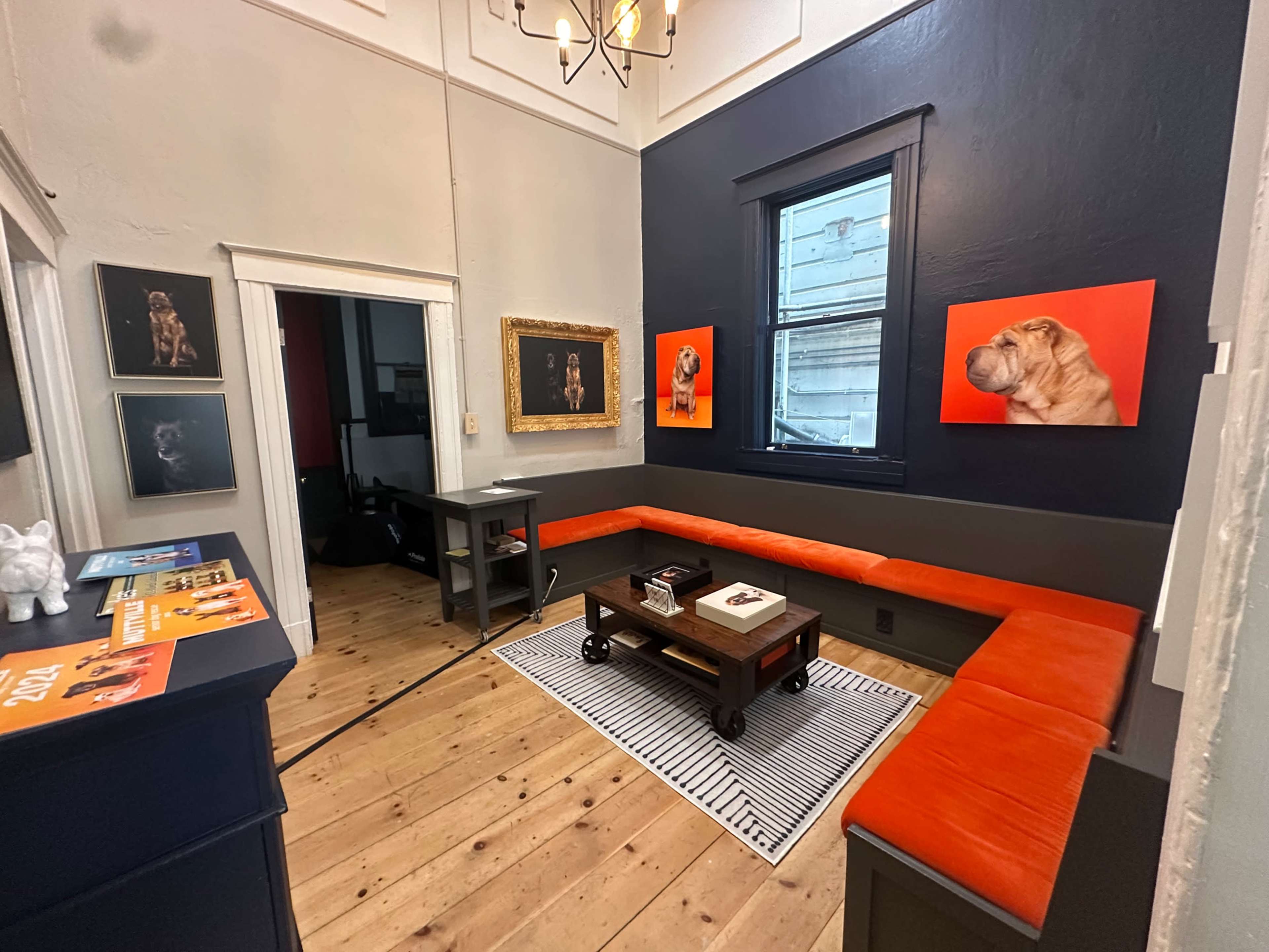 The image shows a small room with a bench along the walls, framed photographs of dogs, and a black table in the center.