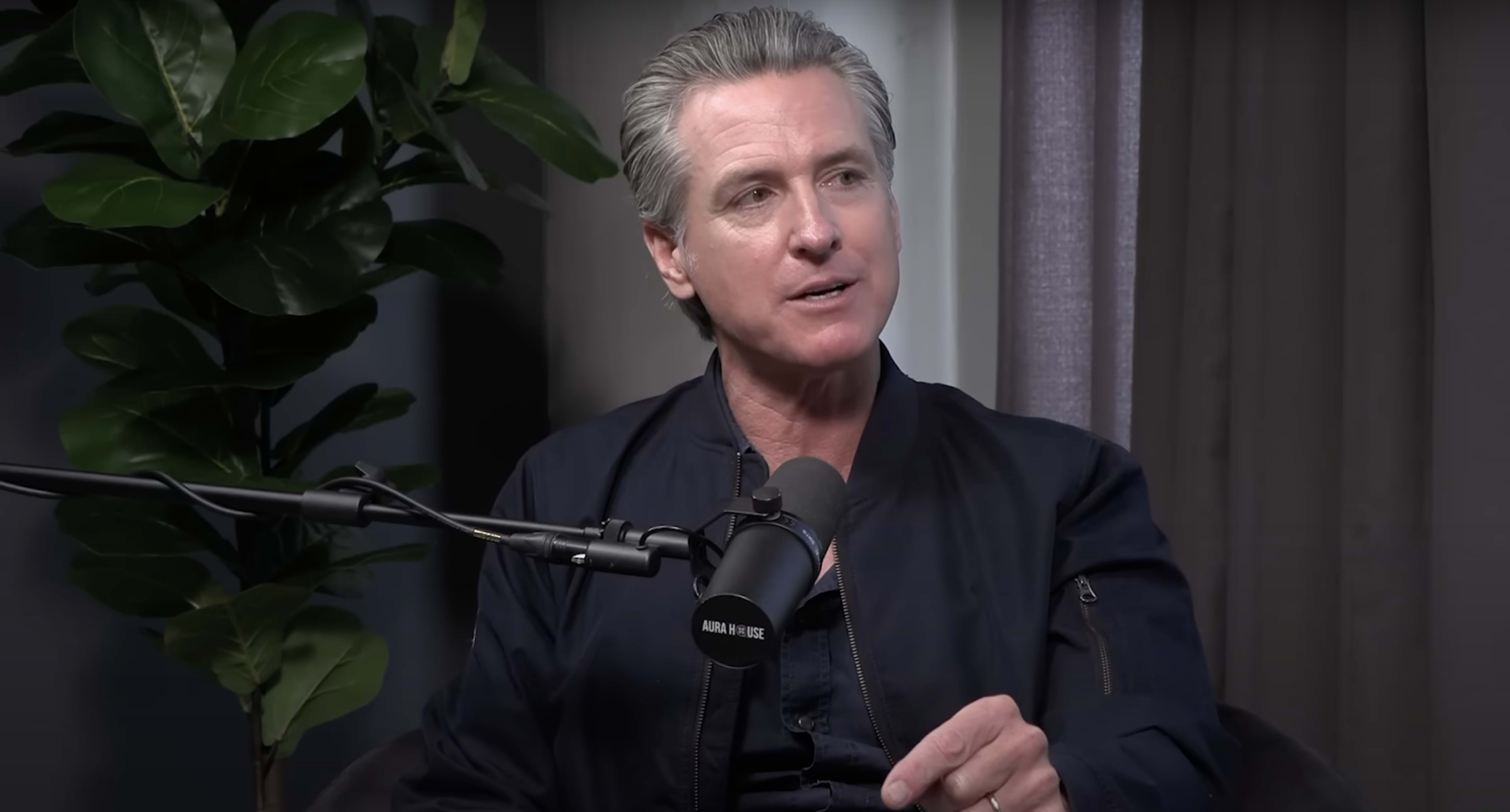 A man with gray hair speaks into a microphone while seated near a plant.