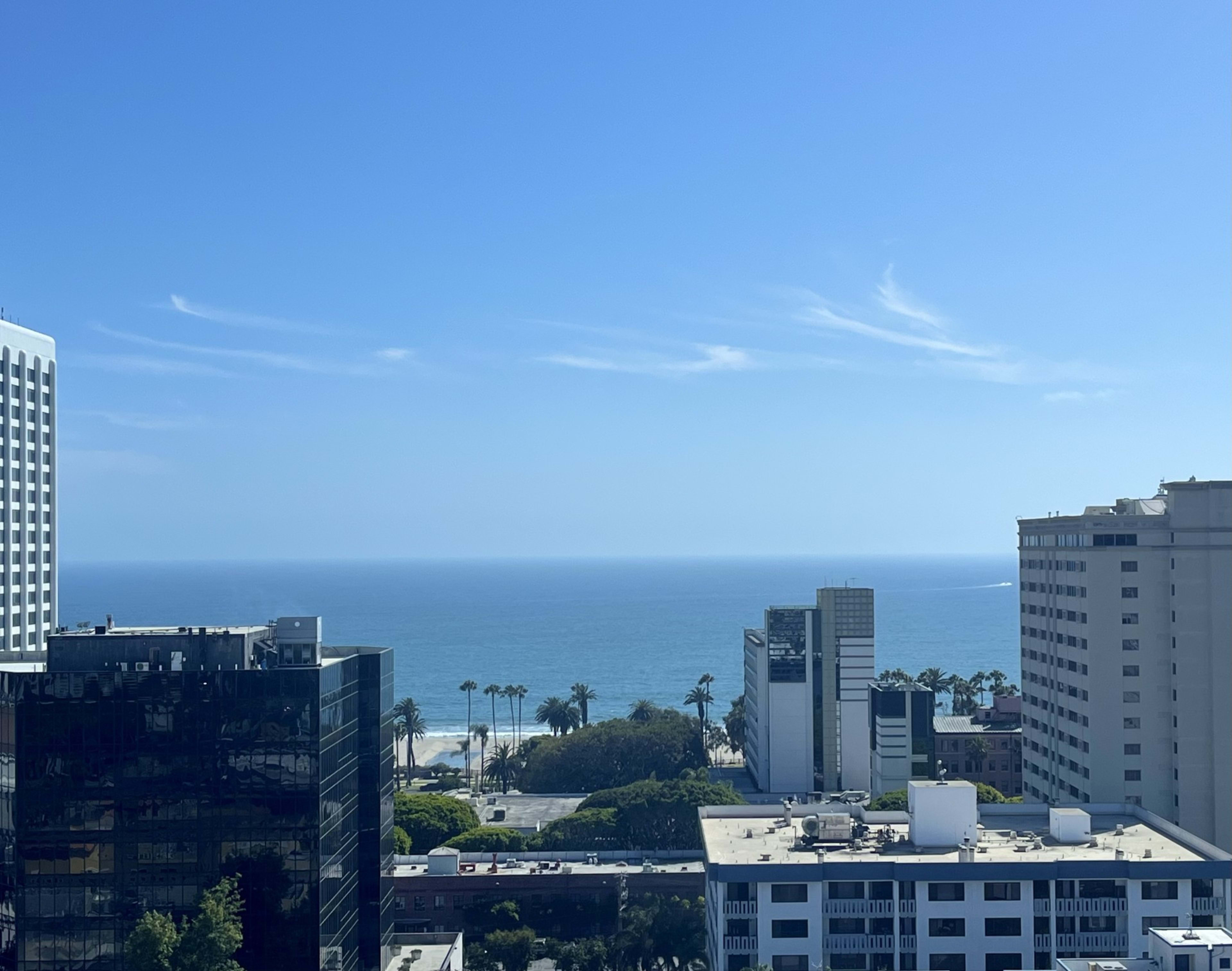 The image shows a clear blue ocean view lined with palm trees, framed by modern buildings on the foreground and background.