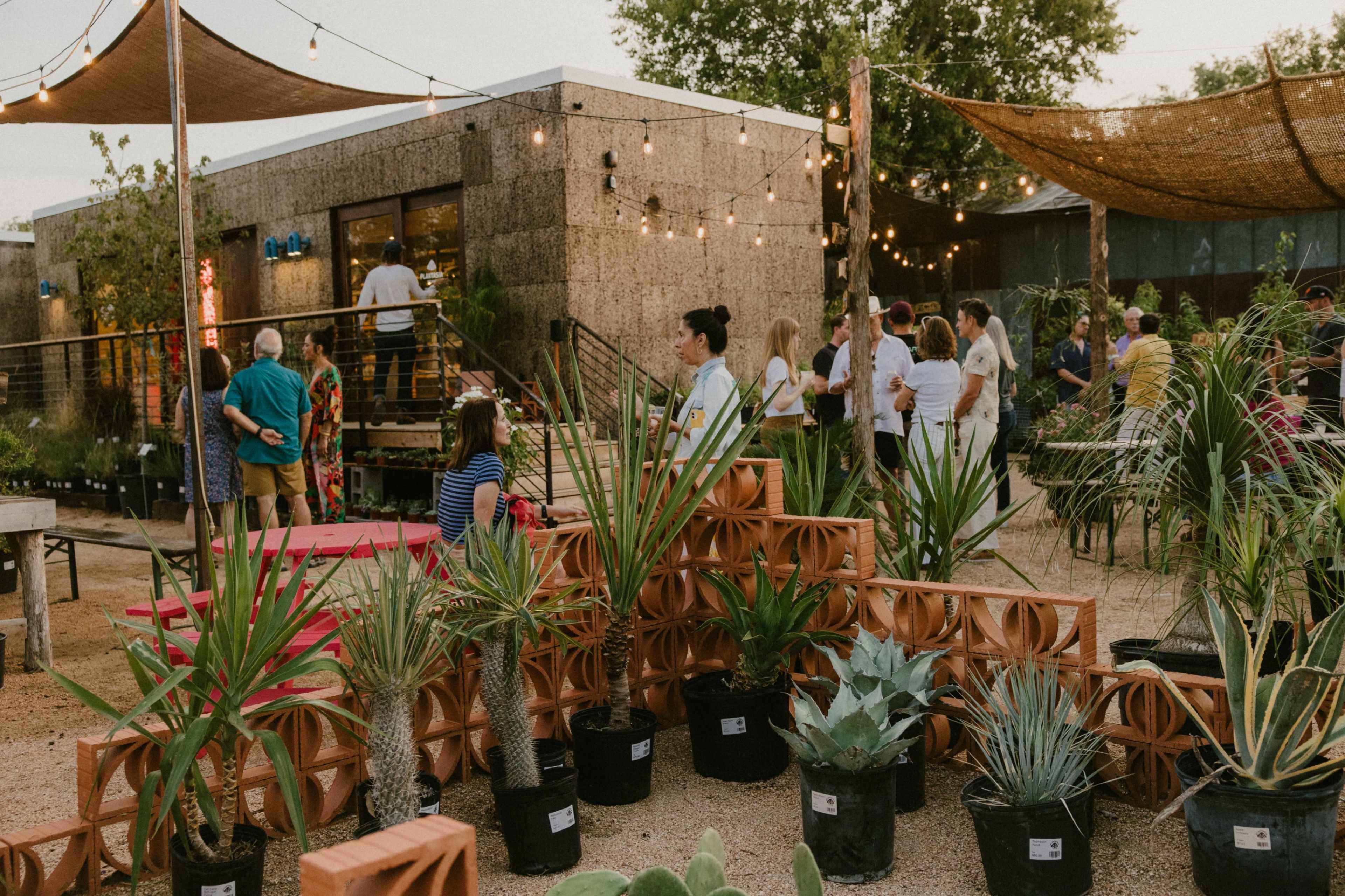 A lively outdoor garden event features people mingling around potted plants and bright string lights illuminating the space.