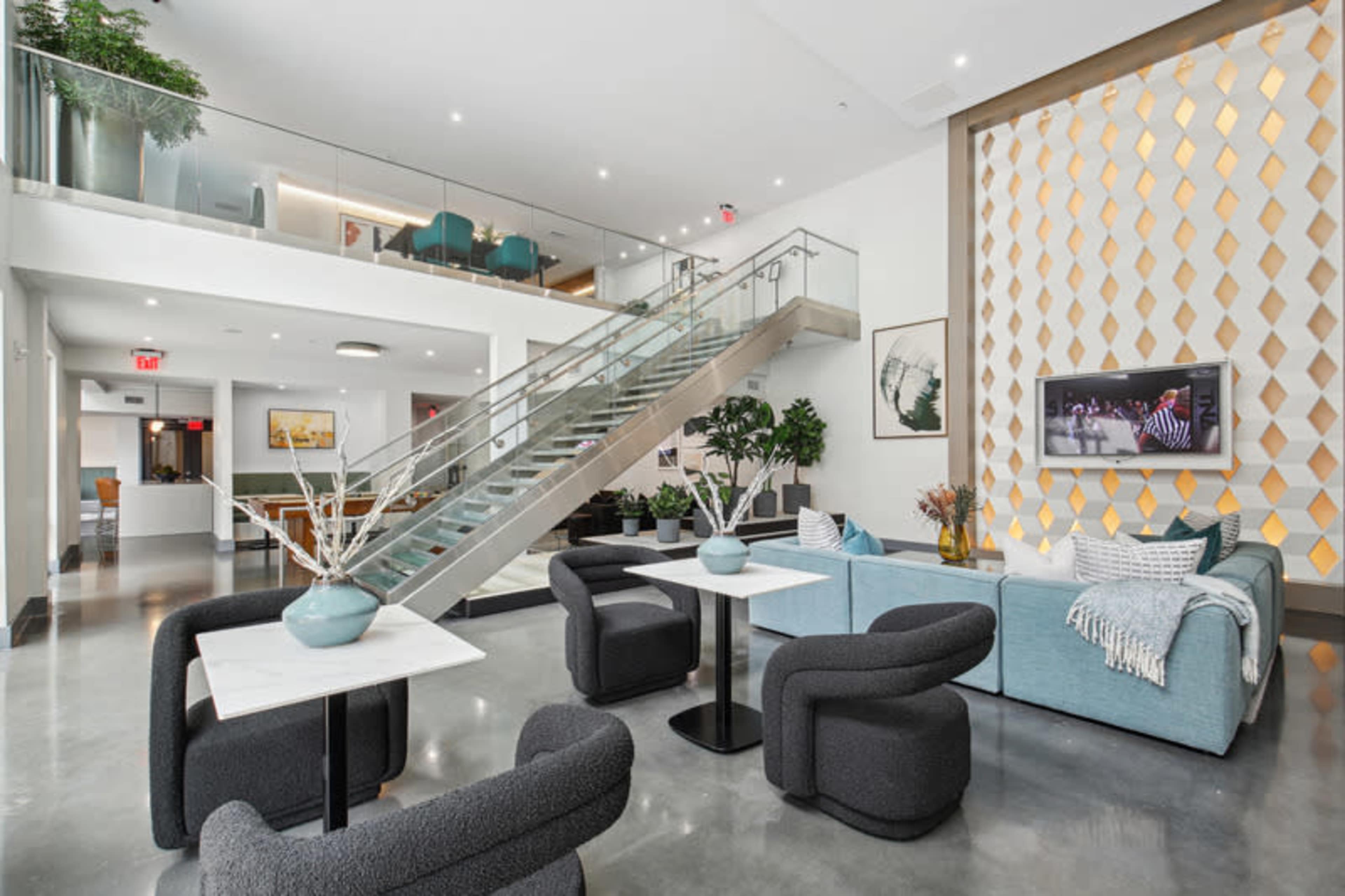 The Purrfect Place Image in Buckhead, Atlanta, GA
