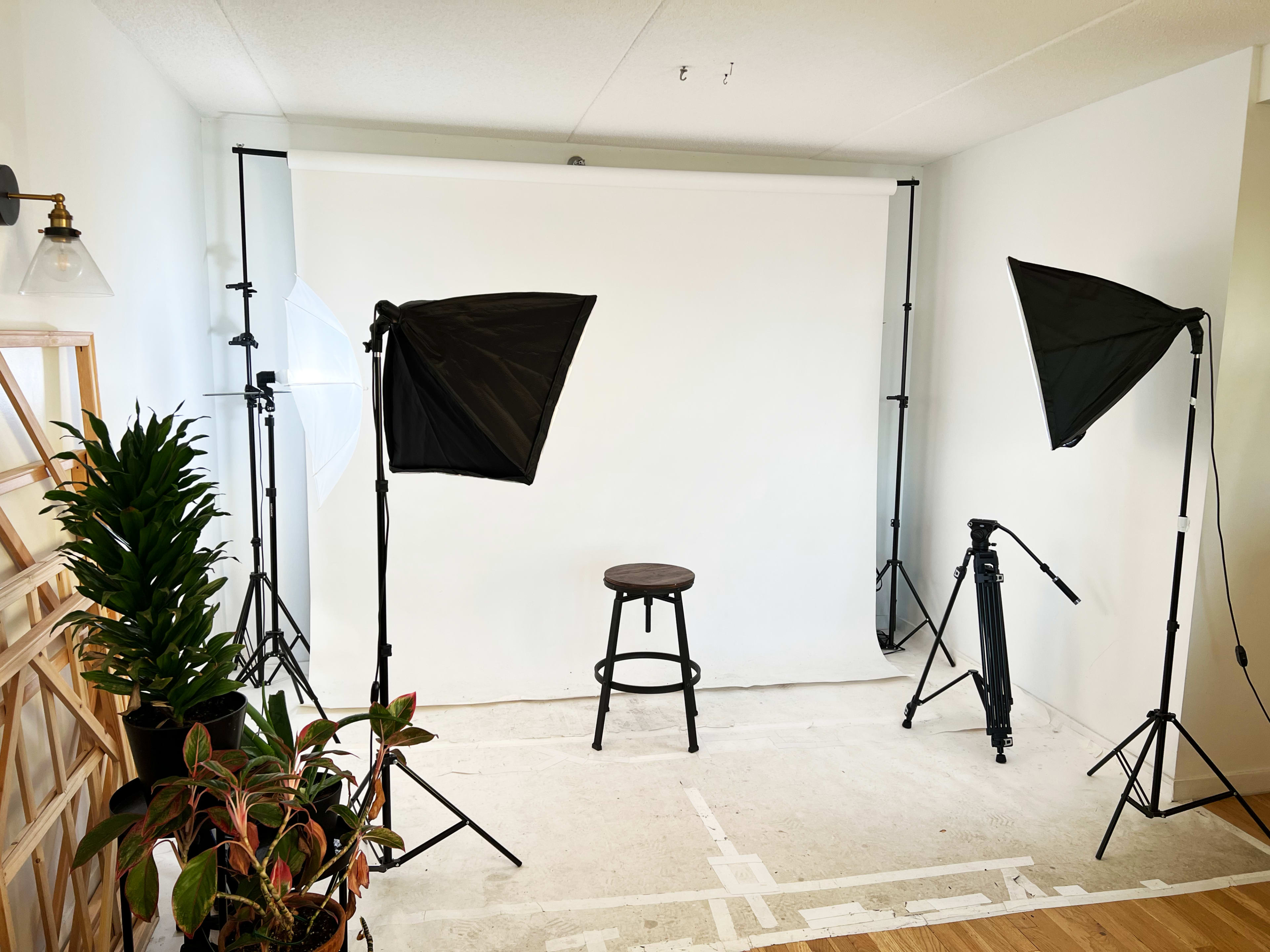 A photography setup featuring a white backdrop, a single black stool in the center, and two lights on stands arranged on either side, with plants positioned in the foreground.