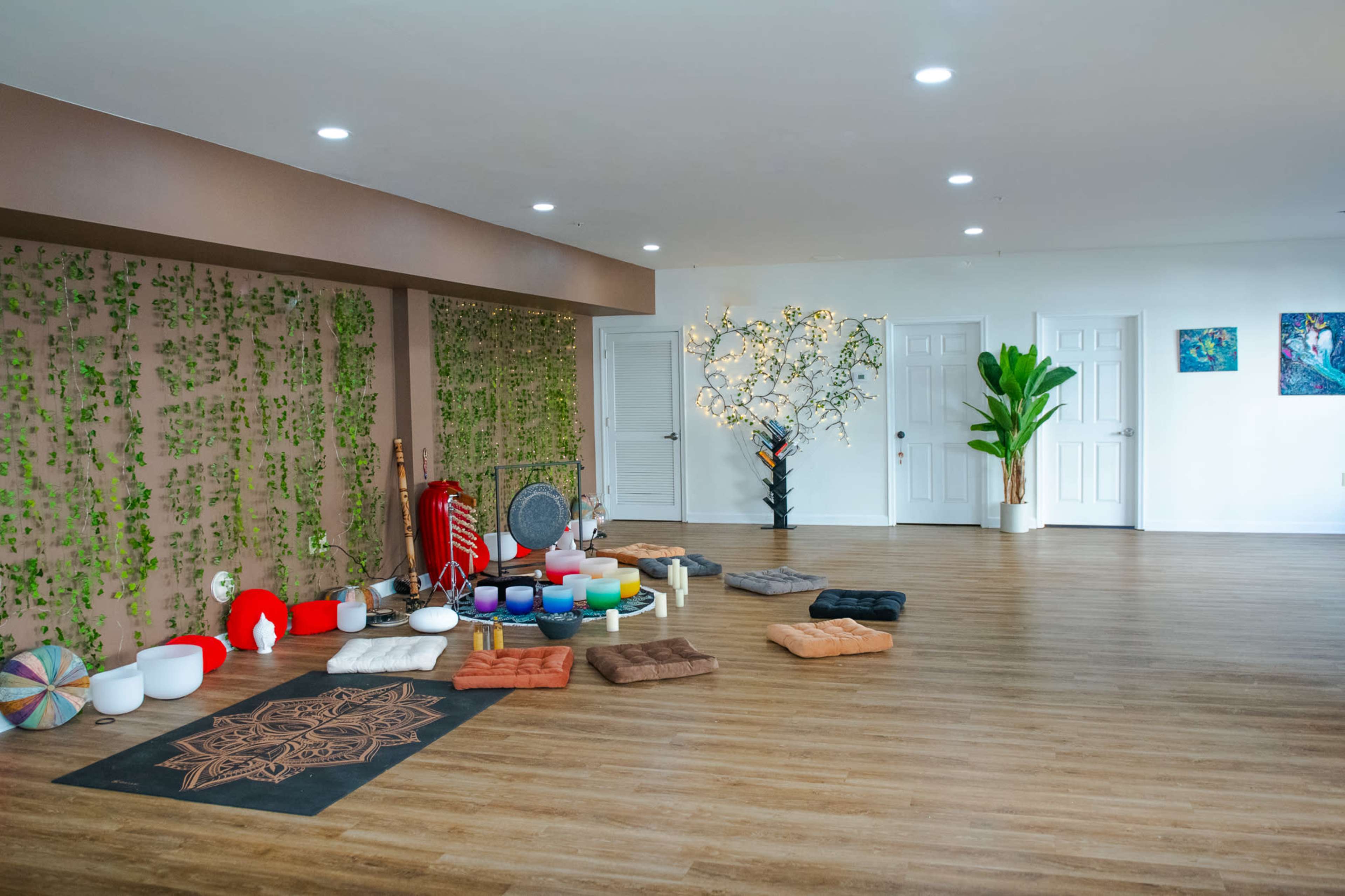 Balance and Bliss Studio: A Sanctuary   for Wellness Image in Downtown, Norfolk, VA
