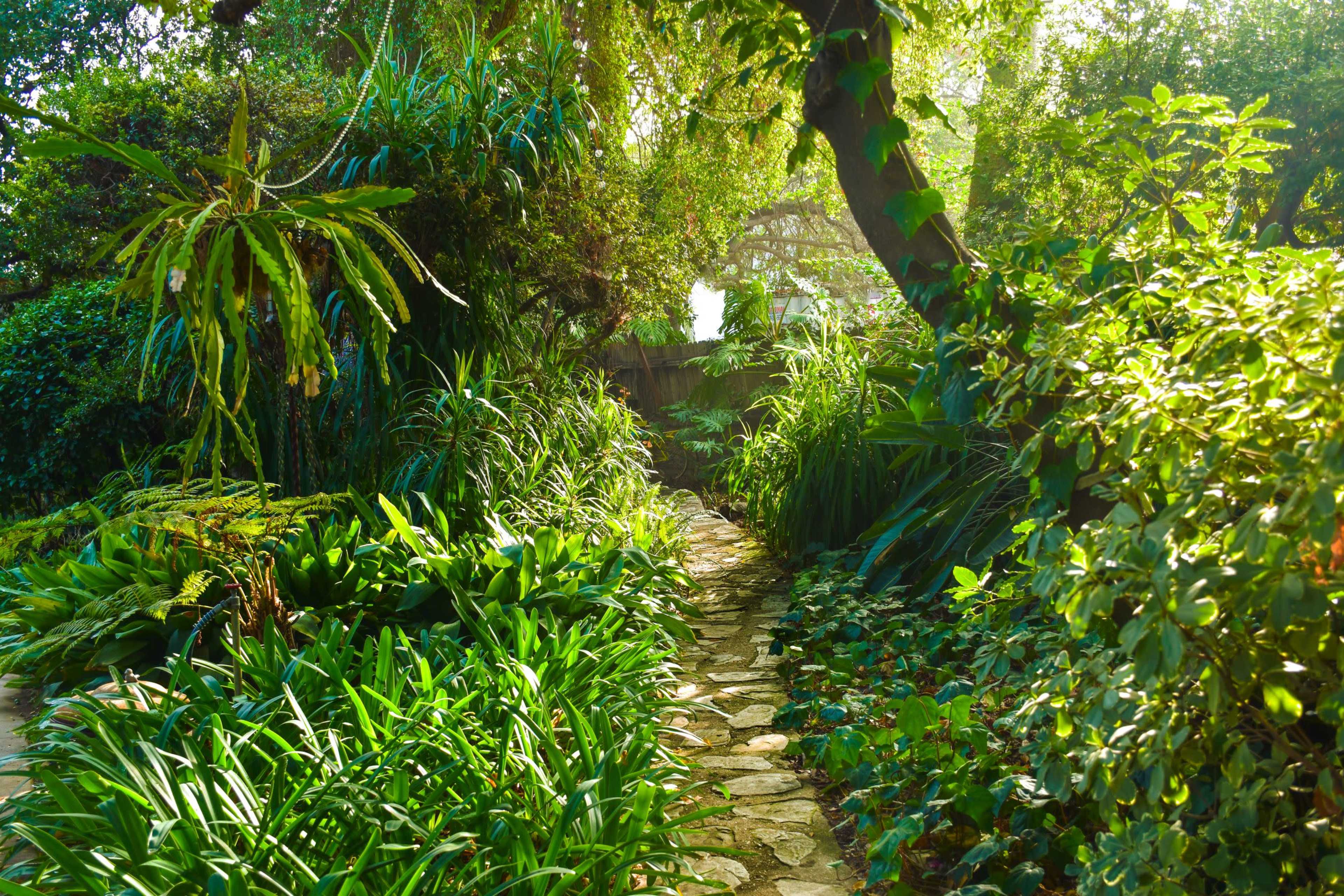 A stone pathway winds through lush greenery in a garden illuminated by sunlight.