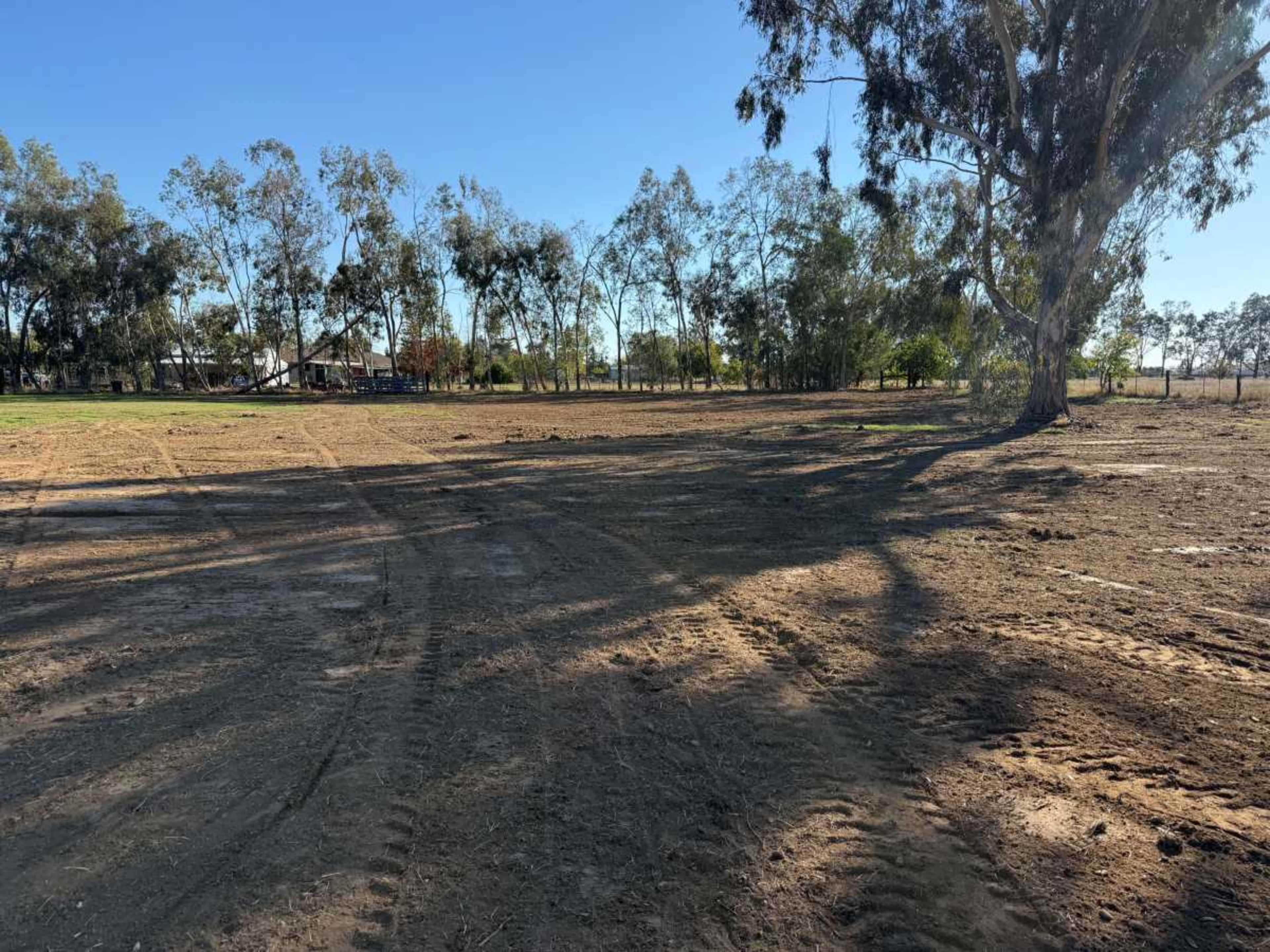 The image shows a cleared area of land with a few scattered trees and visible tire tracks in the soil under a clear blue sky.