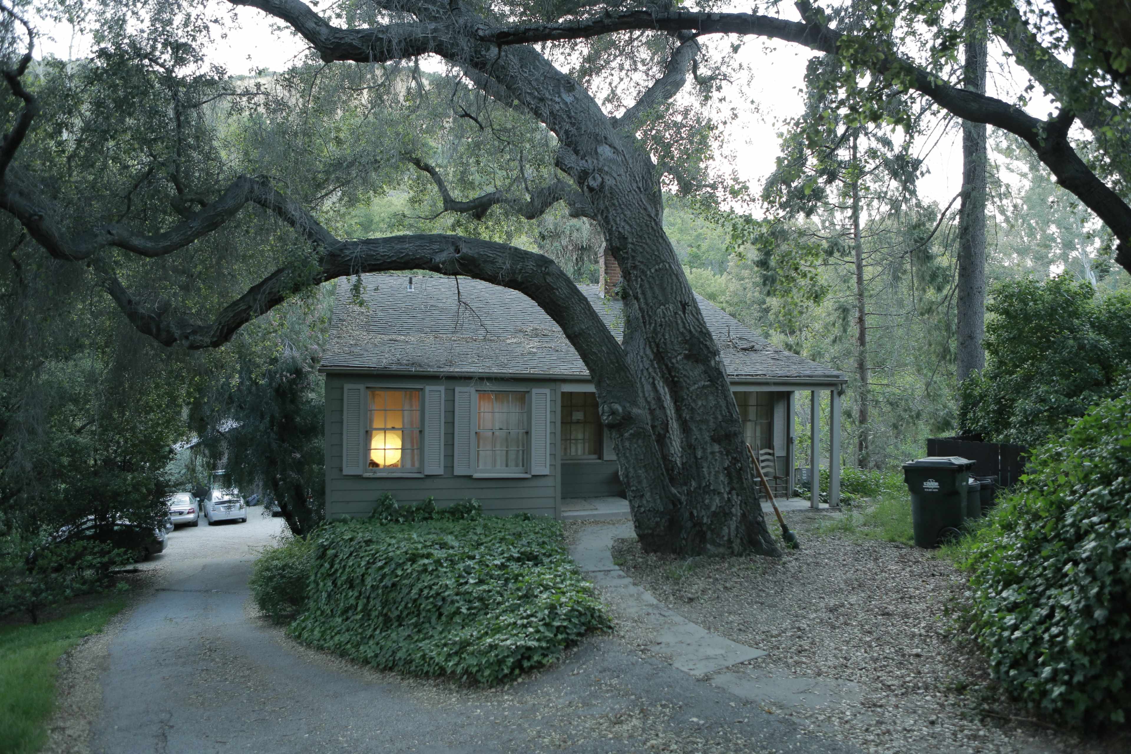 A single-story gray house sits at the end of a winding driveway, with a large tree arching over it and a warm light glowing from one of its windows.