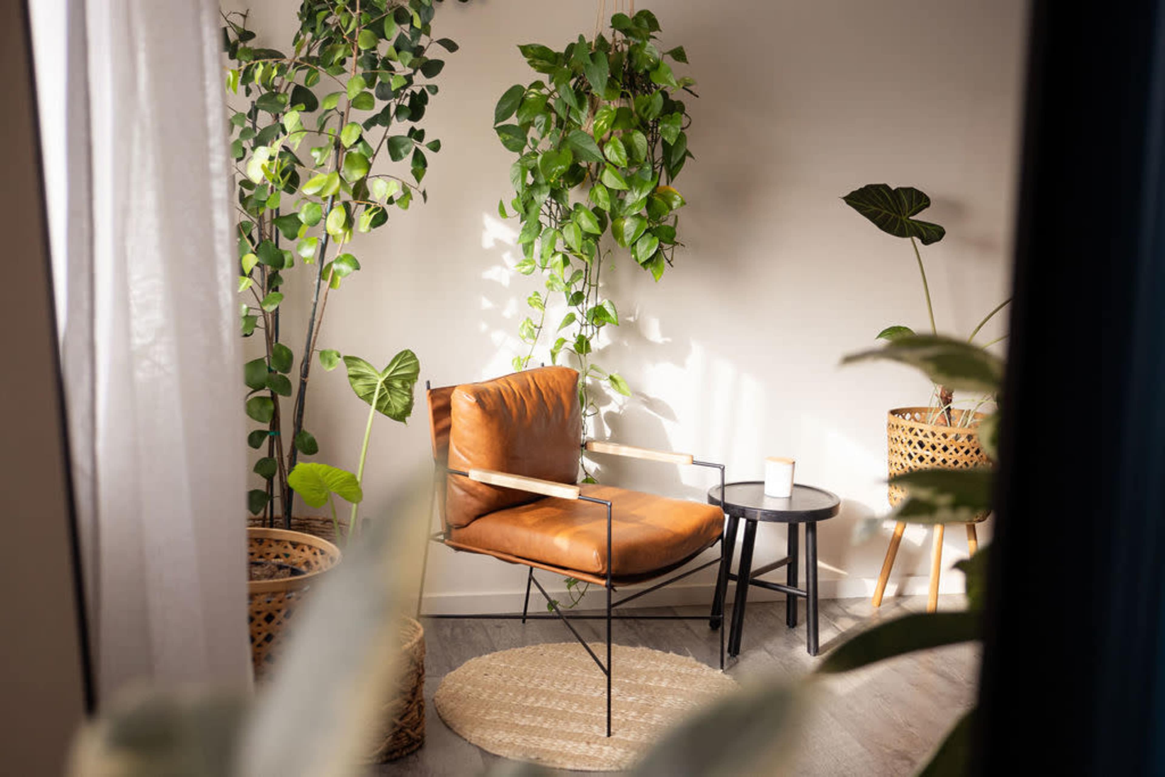2 Neutral & Bold Natural Light Photo Studios Image in Oak View, Huntington Beach, CA