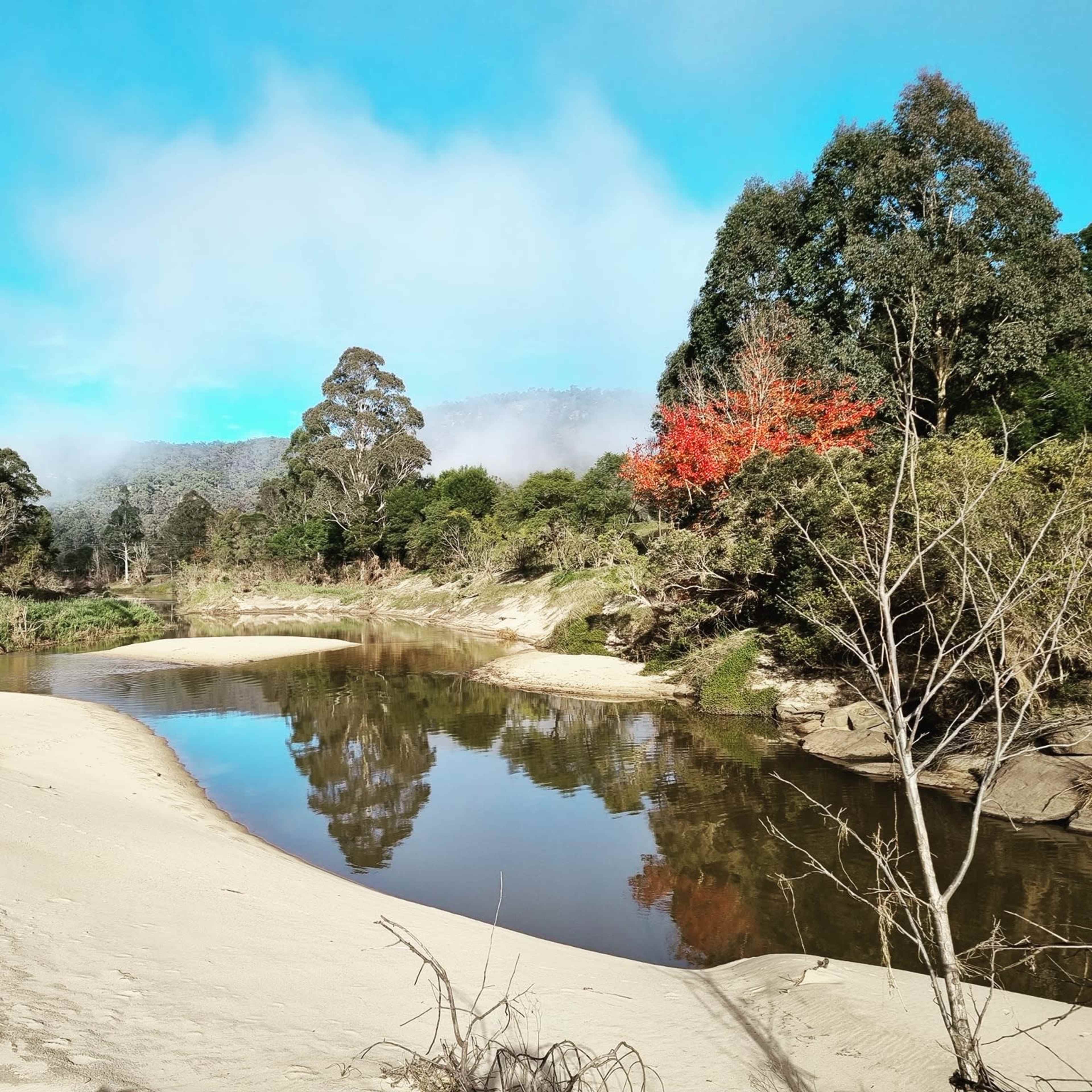 A calm river flows through a sandy bank surrounded by greenery and trees, with a hint of autumn color in the foliage.