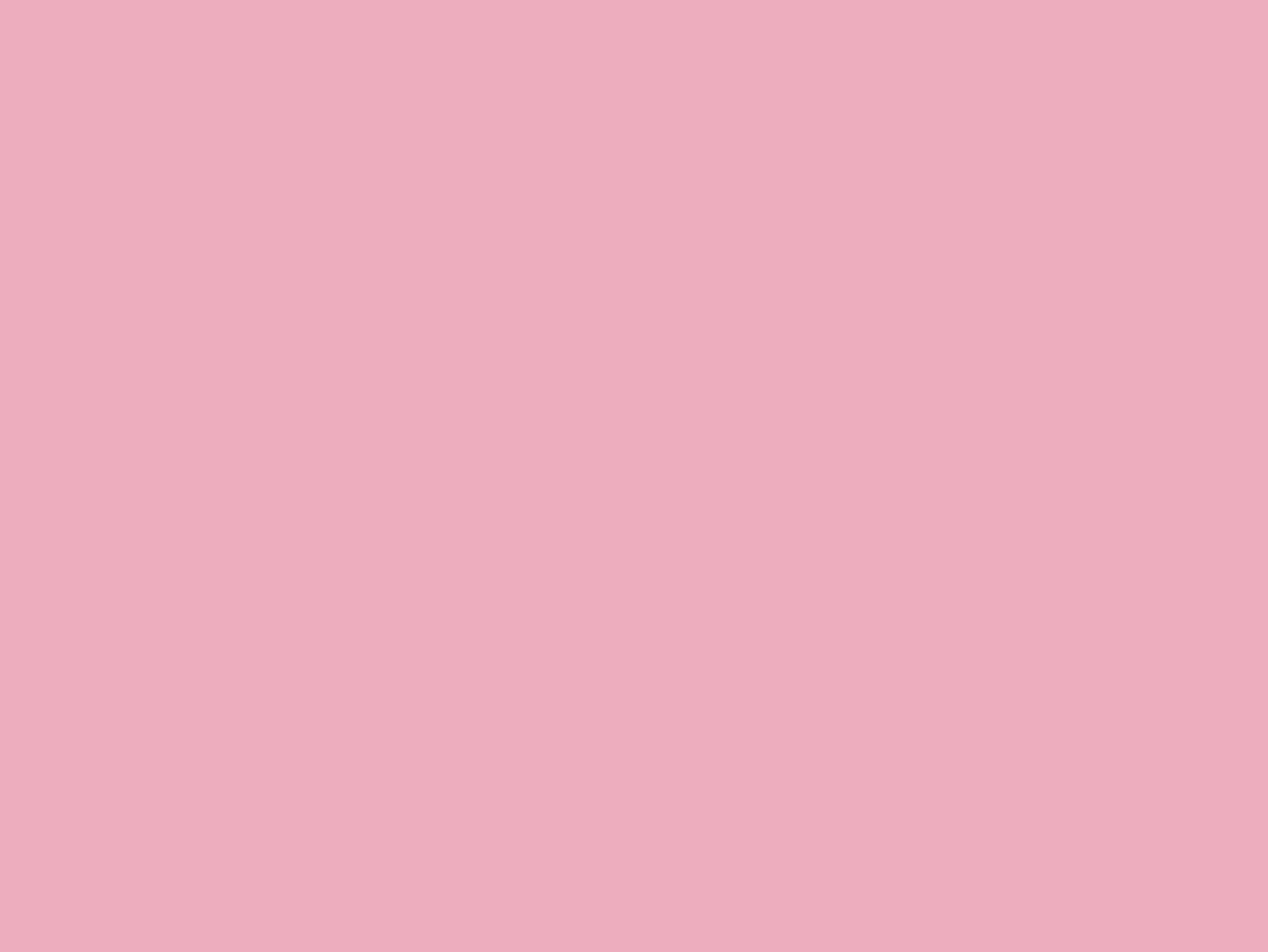 Carnation Pink Seamless Backdrop Setup