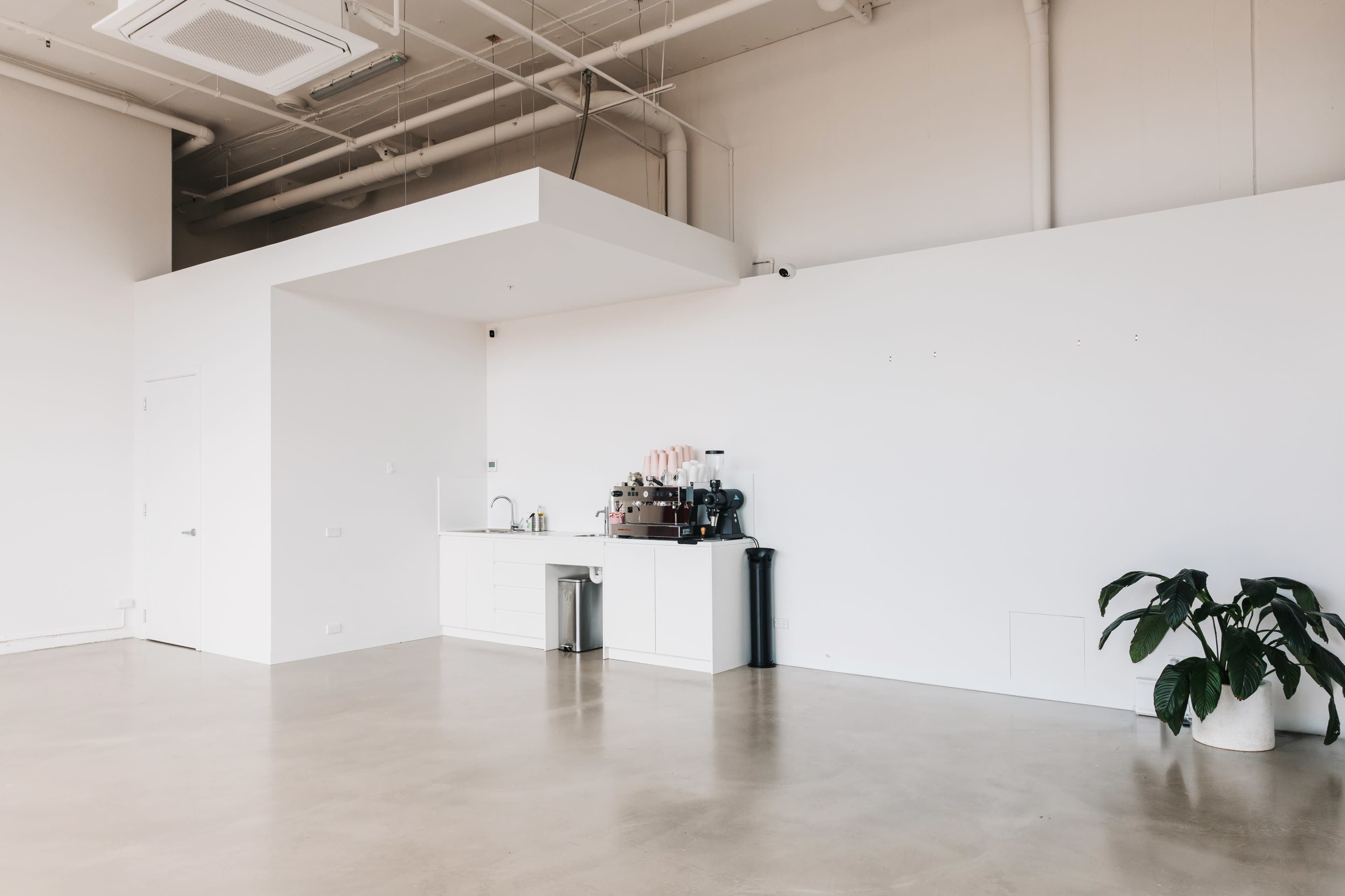 A minimalist interior features a white wall, a small kitchenette with a coffee machine, and a single green potted plant.