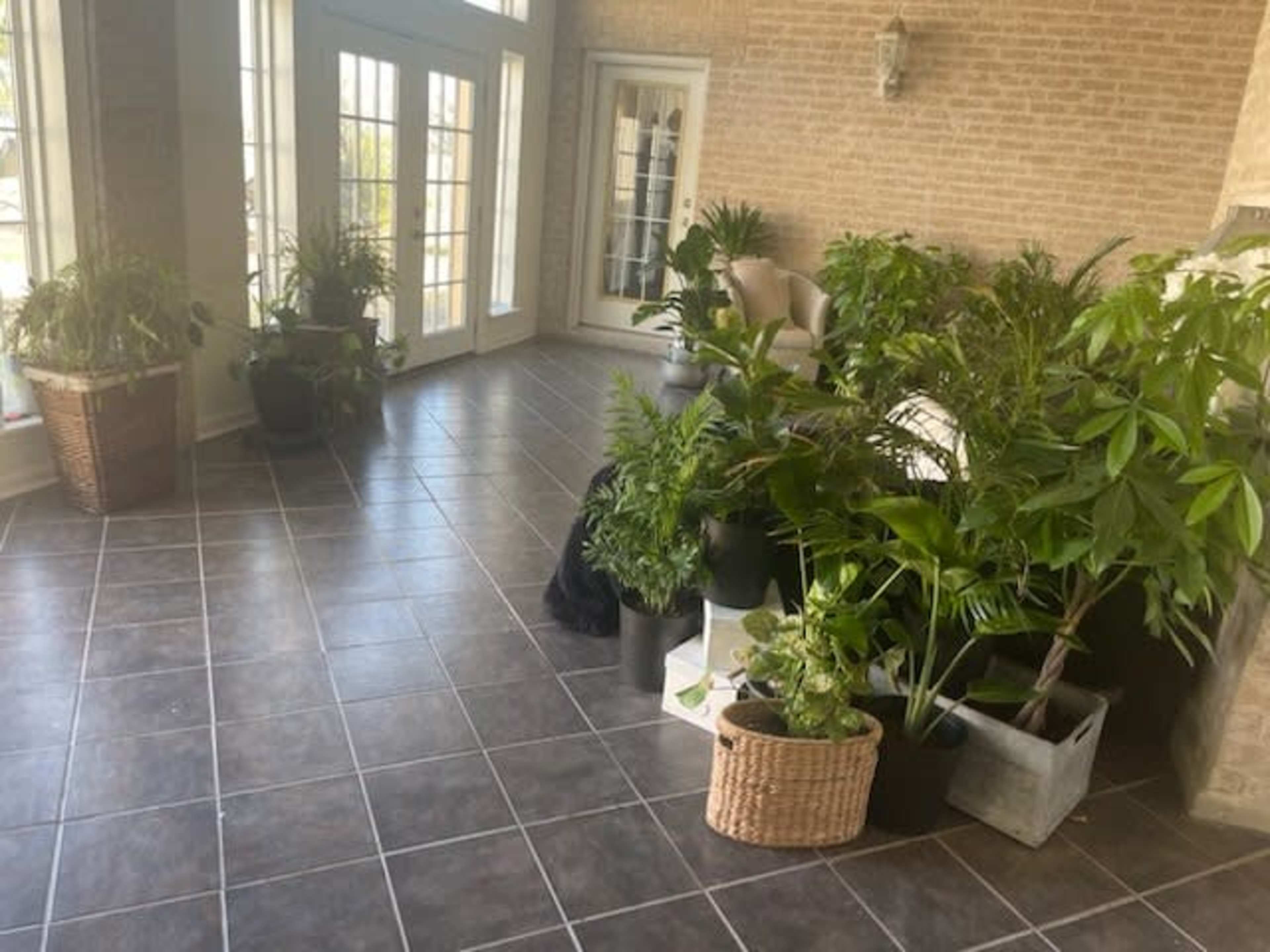 A sunlit room with tile flooring filled with various potted plants arranged along the walls.
