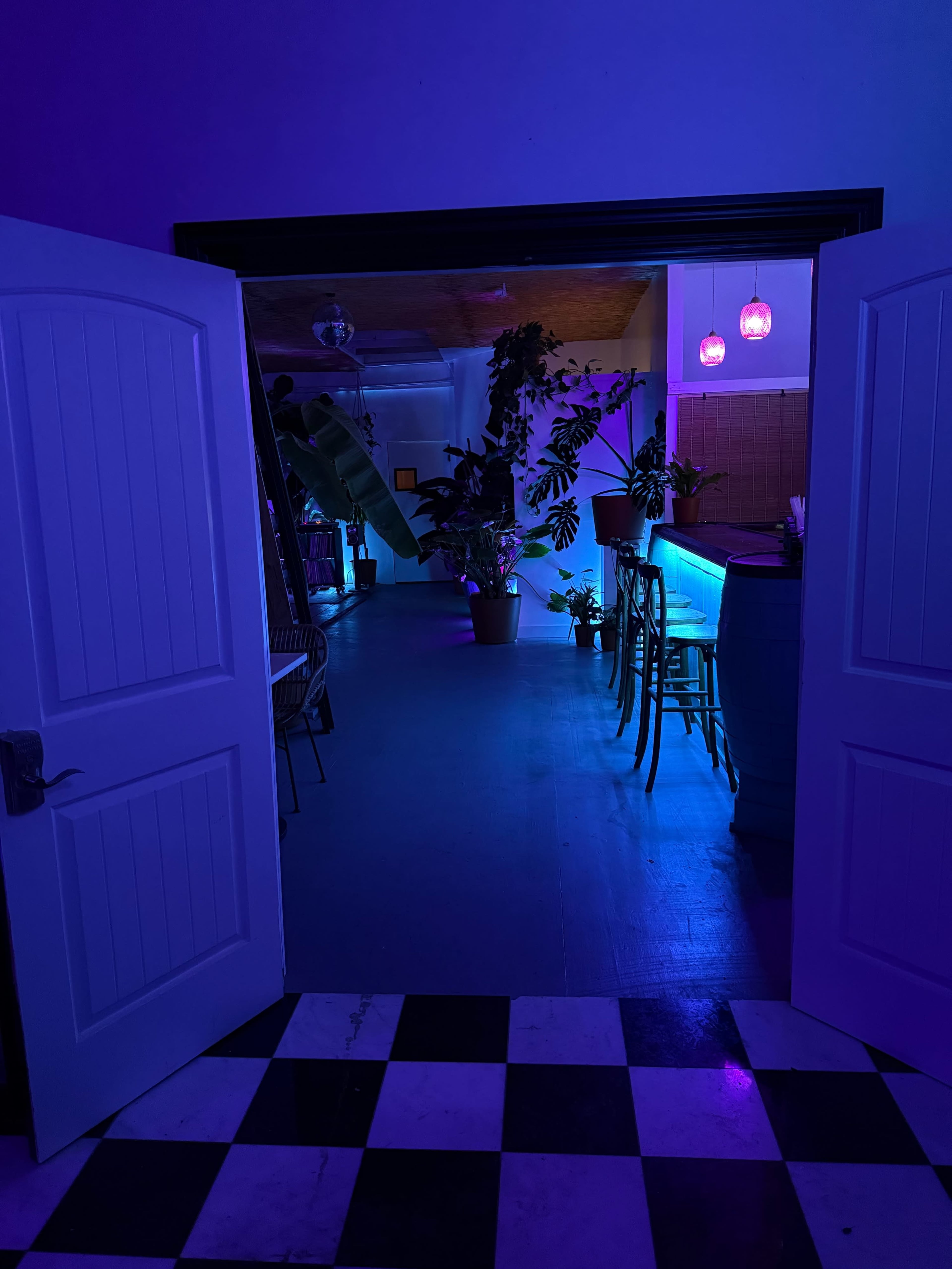 A brightly lit room with colorful lighting and greenery is visible through an open doorway, leading to a checkered floor space.