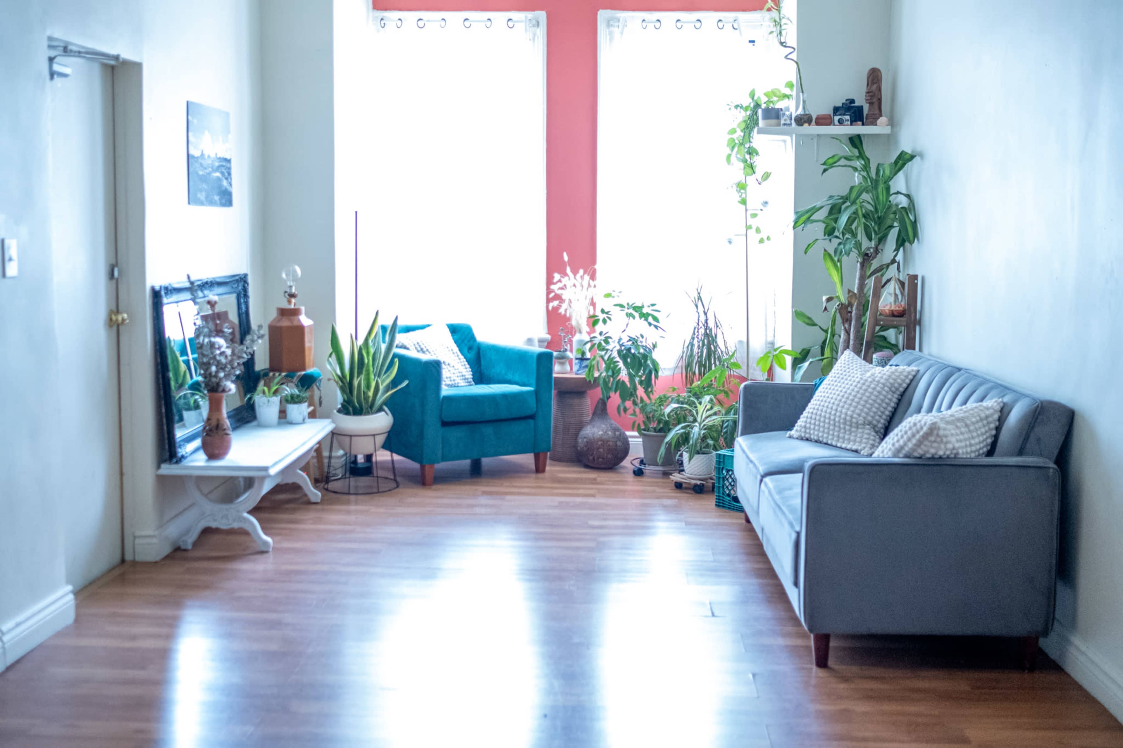 The image shows a bright living room featuring two chairs, a sofa, various houseplants, and a small table against the wall.