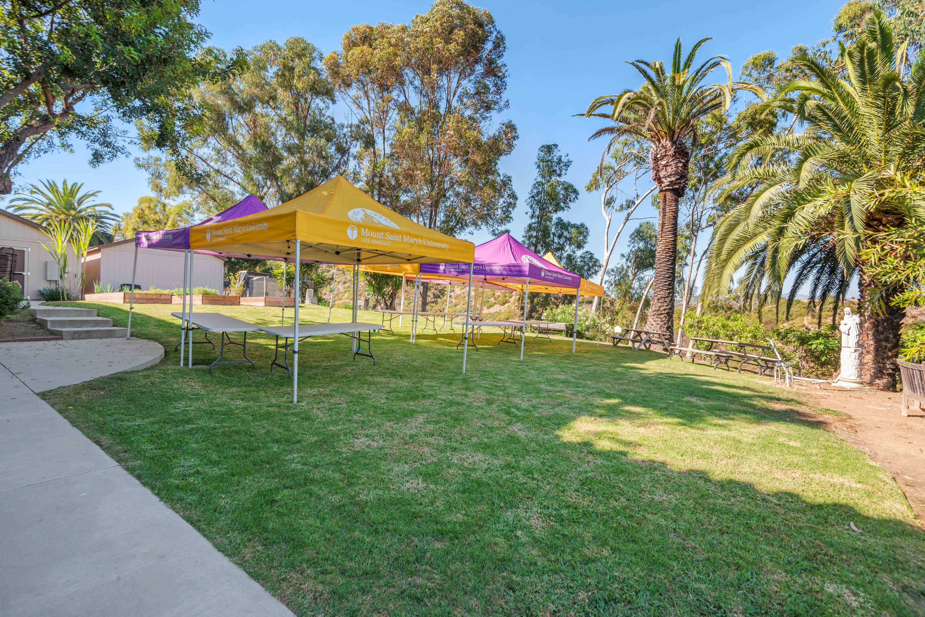 The image shows a green lawn with several colorful tents set up, surrounded by palm trees and tall bushes.