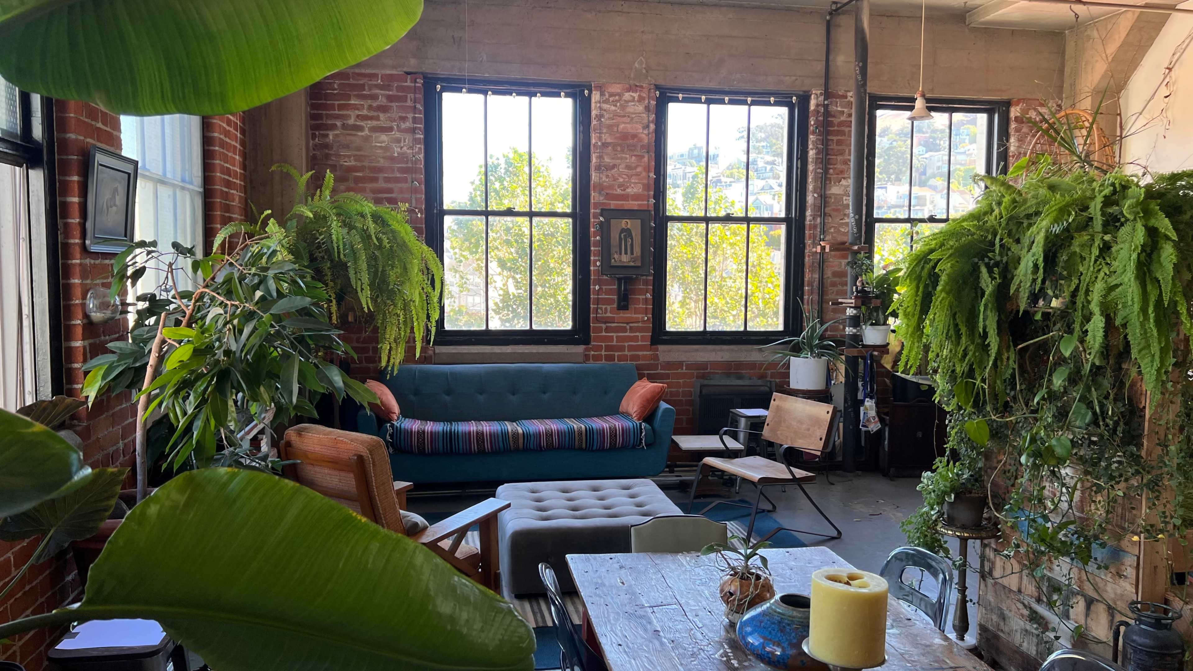 A cozy living space with large windows, a green couch, a wooden table, and various indoor plants.