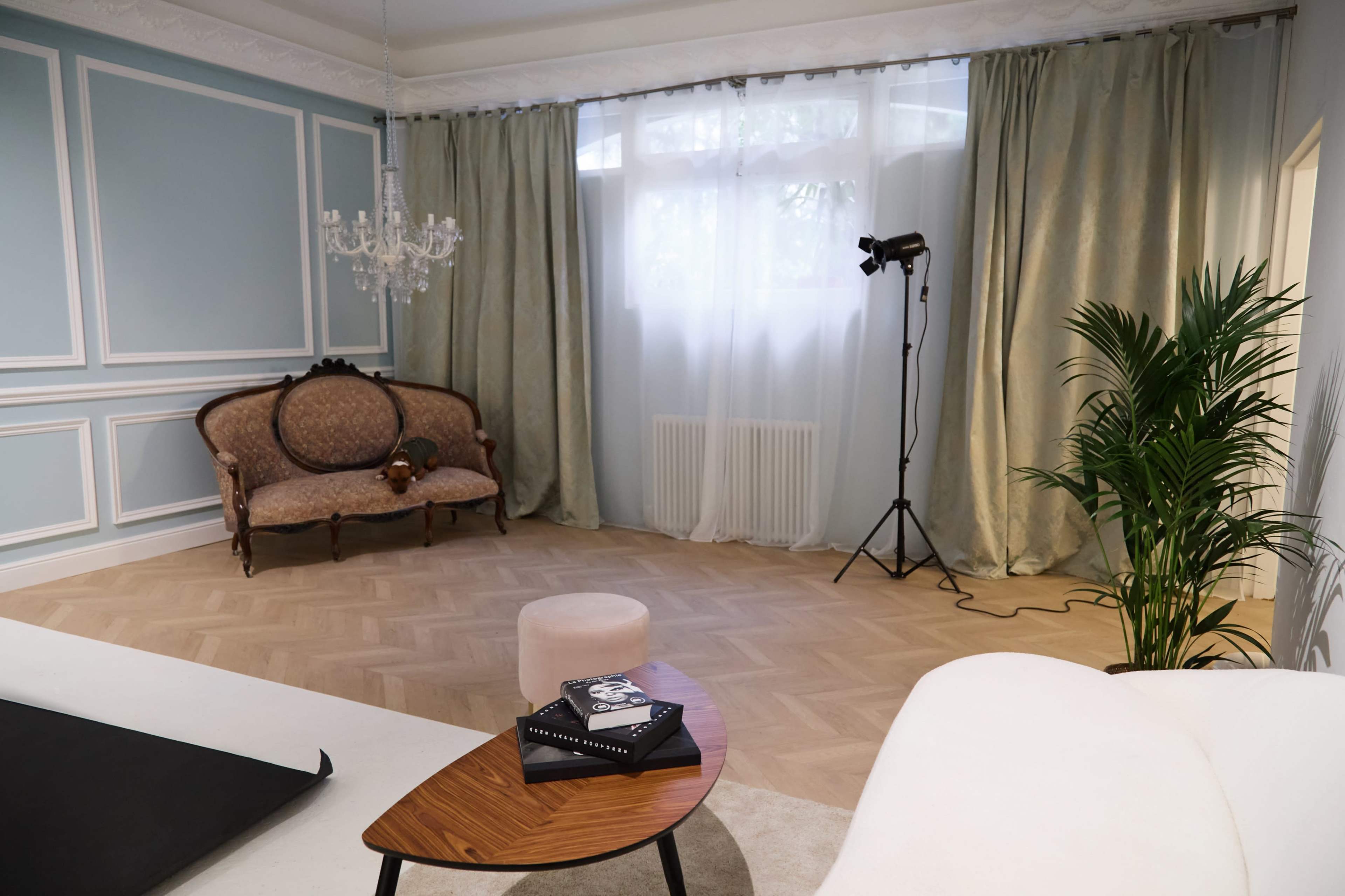 NEW! "Maestra" Studio Photo in Paris! Image in Belleville, paris, 