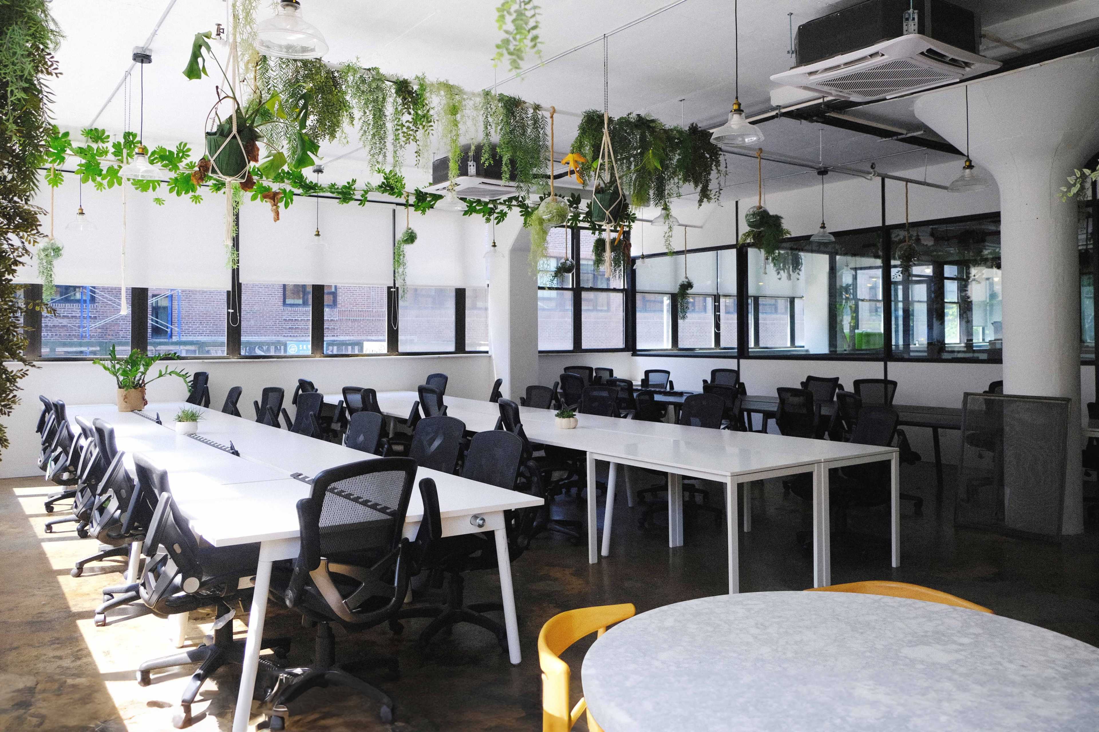 The image shows a spacious office layout with multiple long white tables and black office chairs, adorned with hanging plants and large windows for natural light.