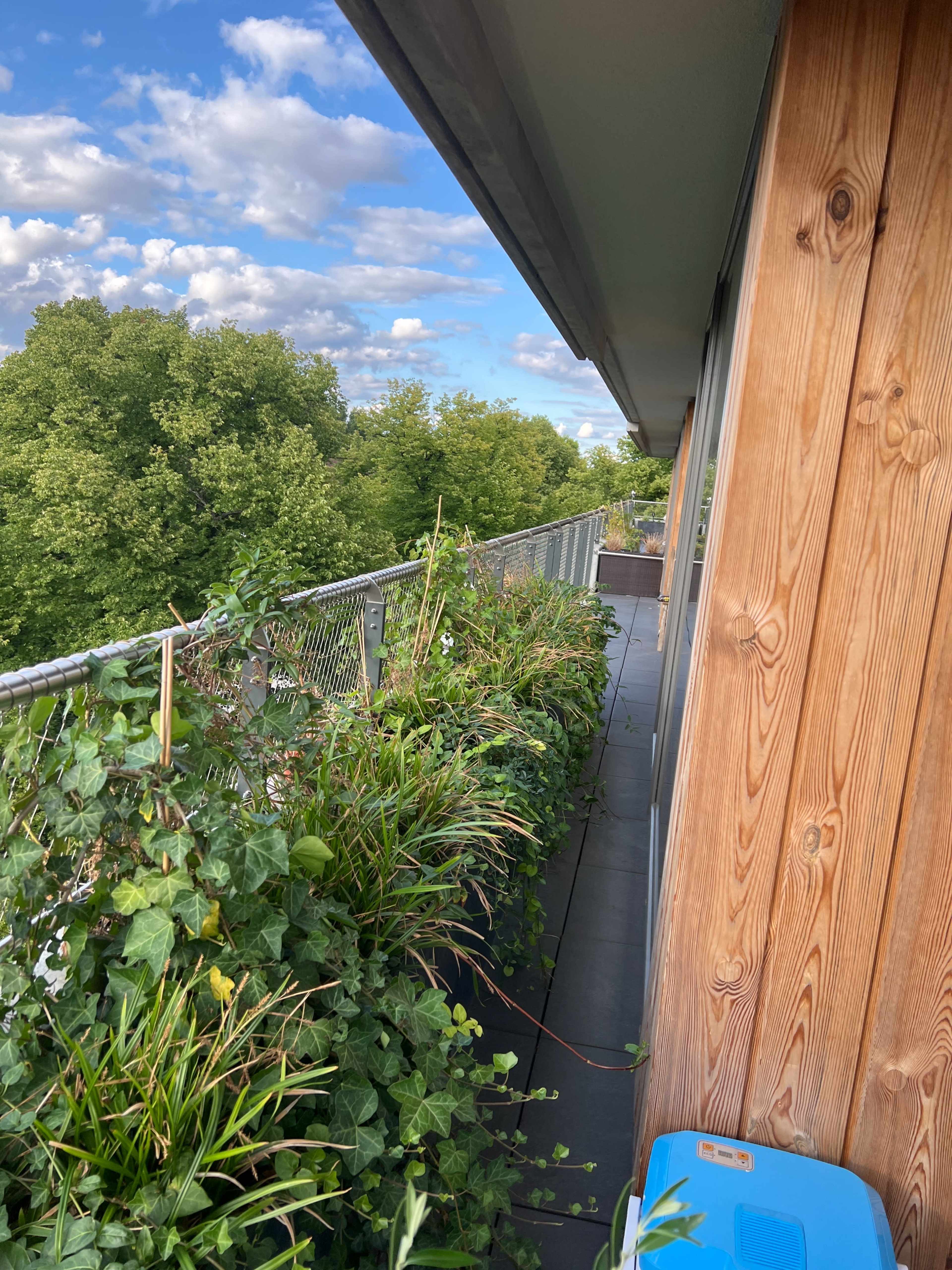 A balcony lined with various potted plants and greenery, accompanied by a wooden wall and a clear sky with scattered clouds.