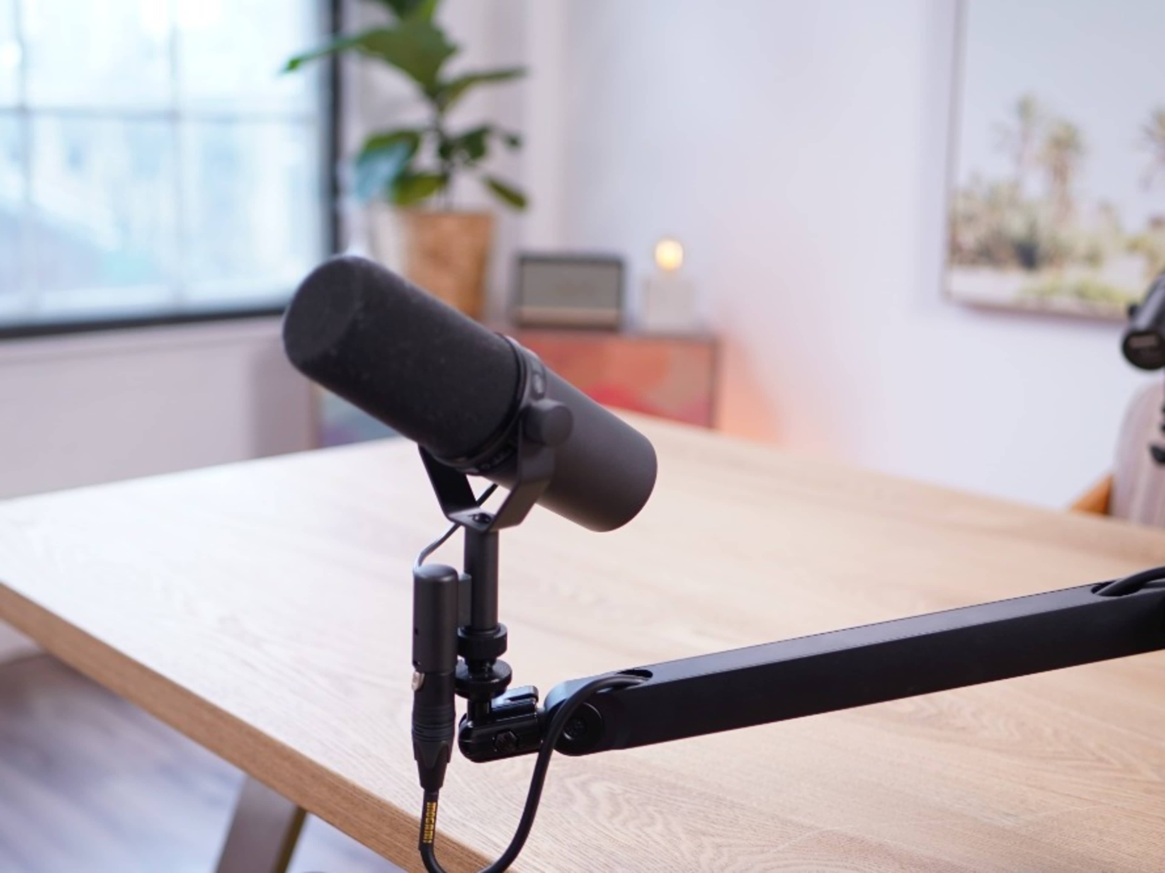 Additional Microphone