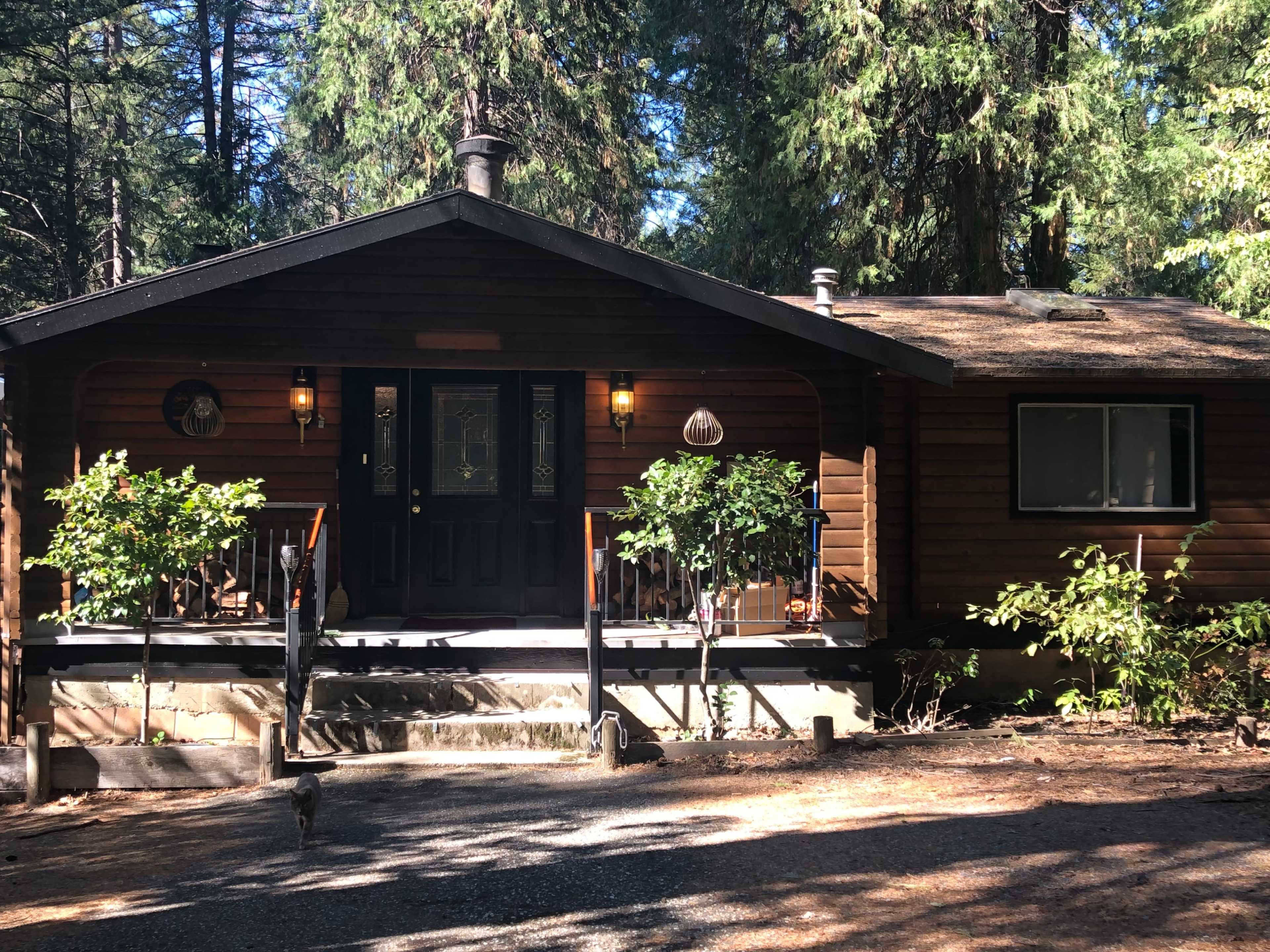A wooden cabin with a front porch is surrounded by tall trees and a gravel pathway.