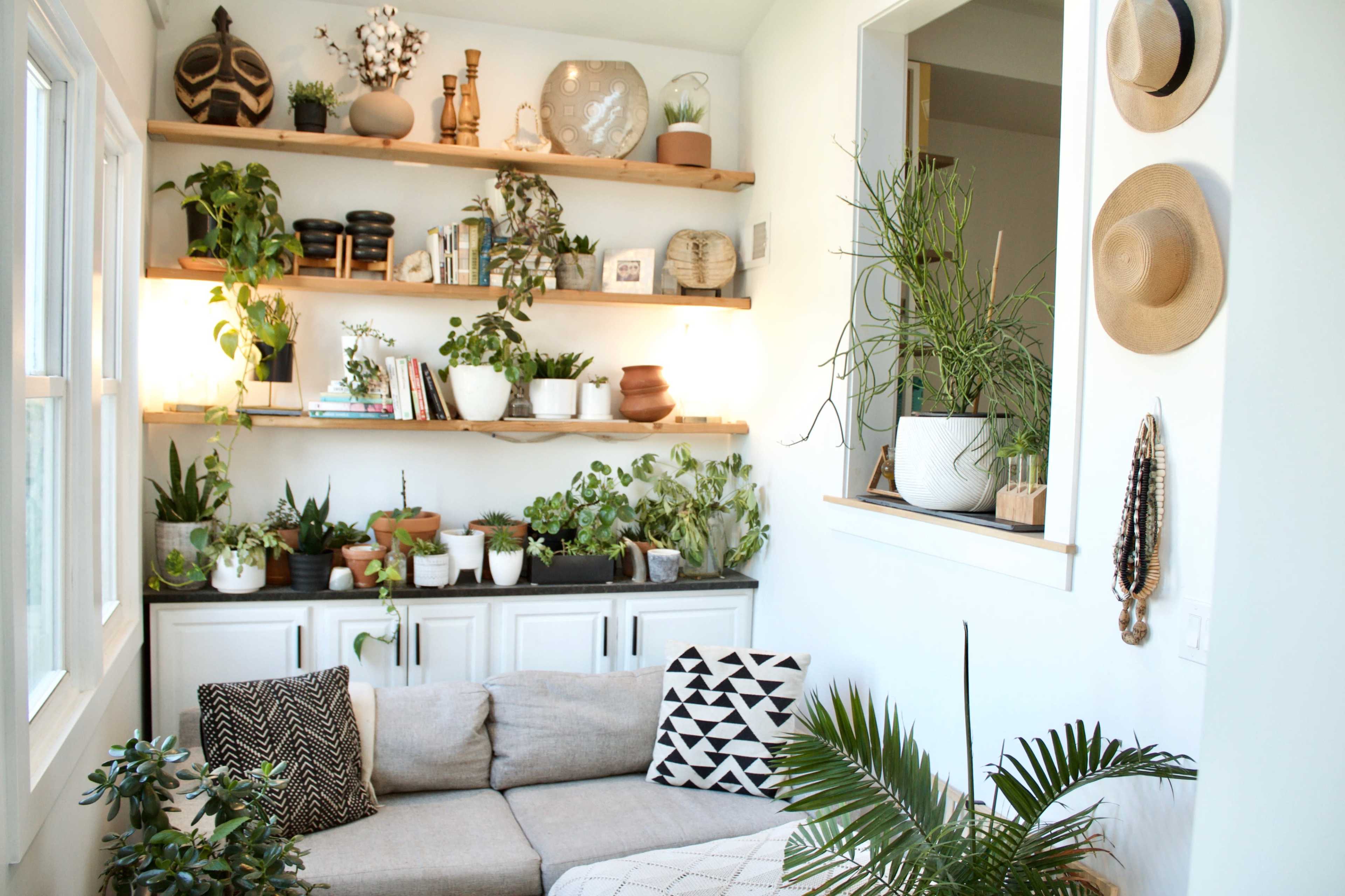 The image shows a bright, cozy living space featuring a sectional sofa, shelves adorned with various plants, books, and decorative items, and hats hanging on the wall.