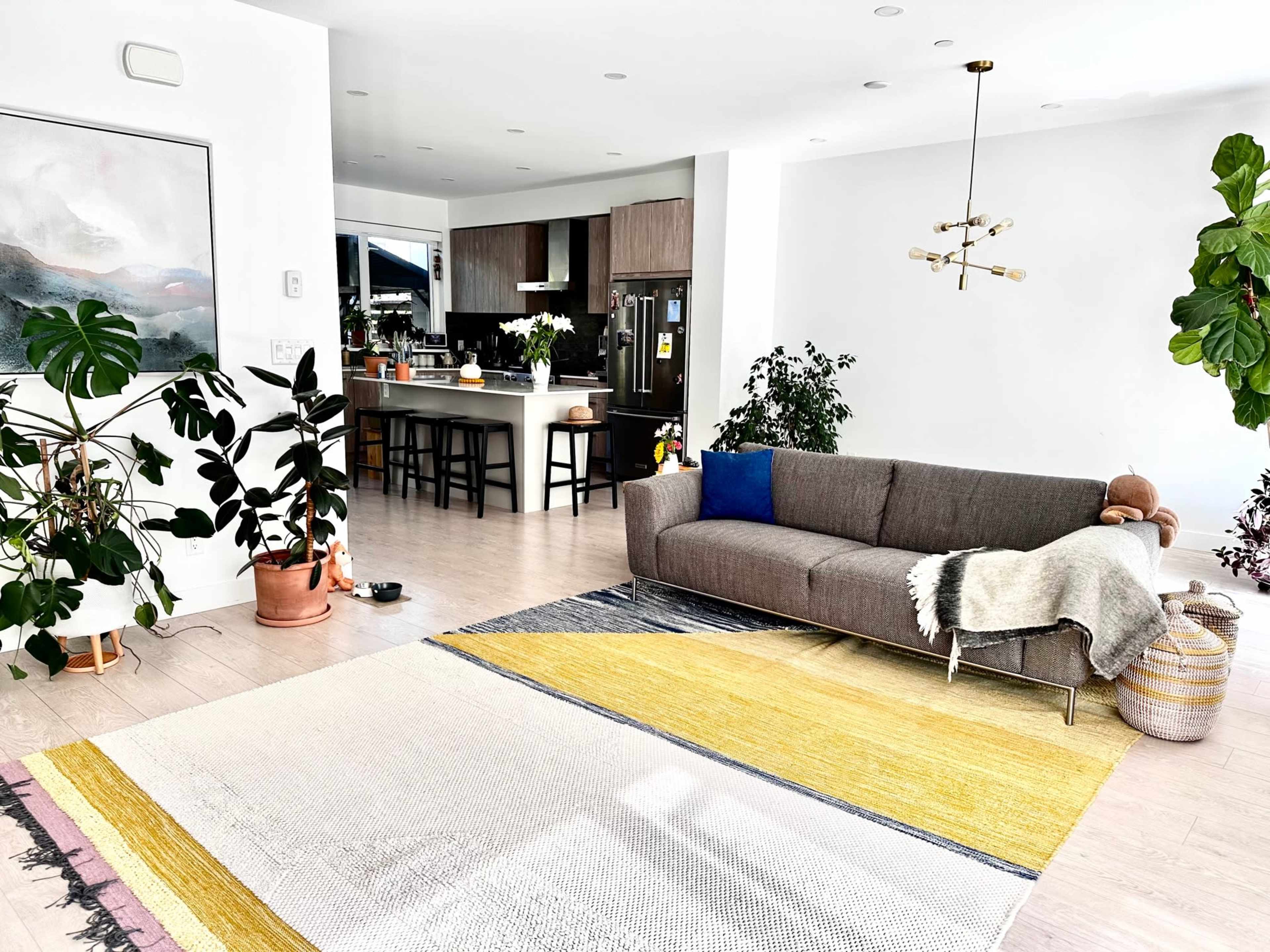 A modern living room with a gray sofa, a large area rug, plants, and a view of a kitchen in the background.