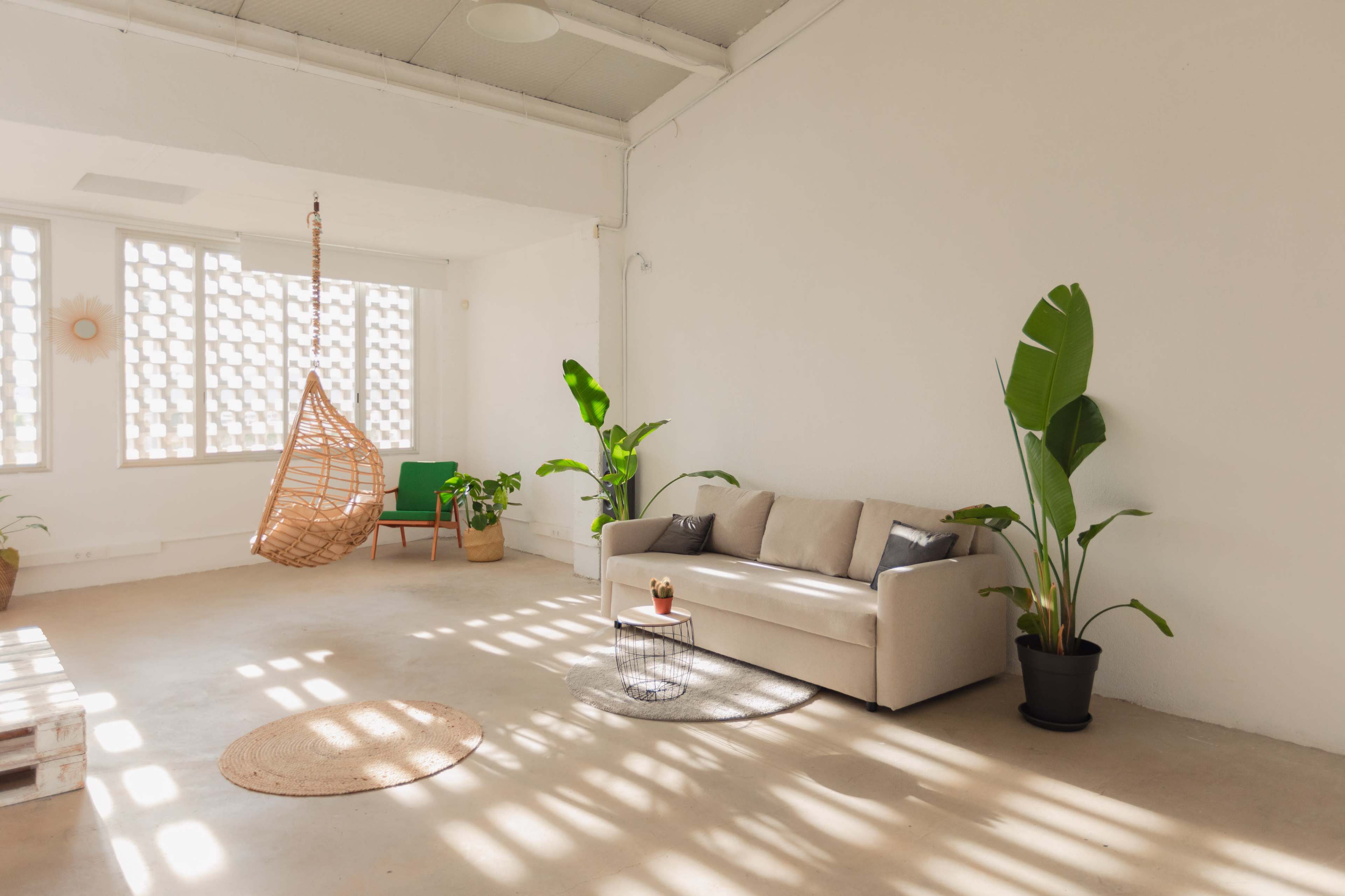 The room features a light-toned sofa, a hanging rattan chair, and potted plants, with natural light streaming through window openings.