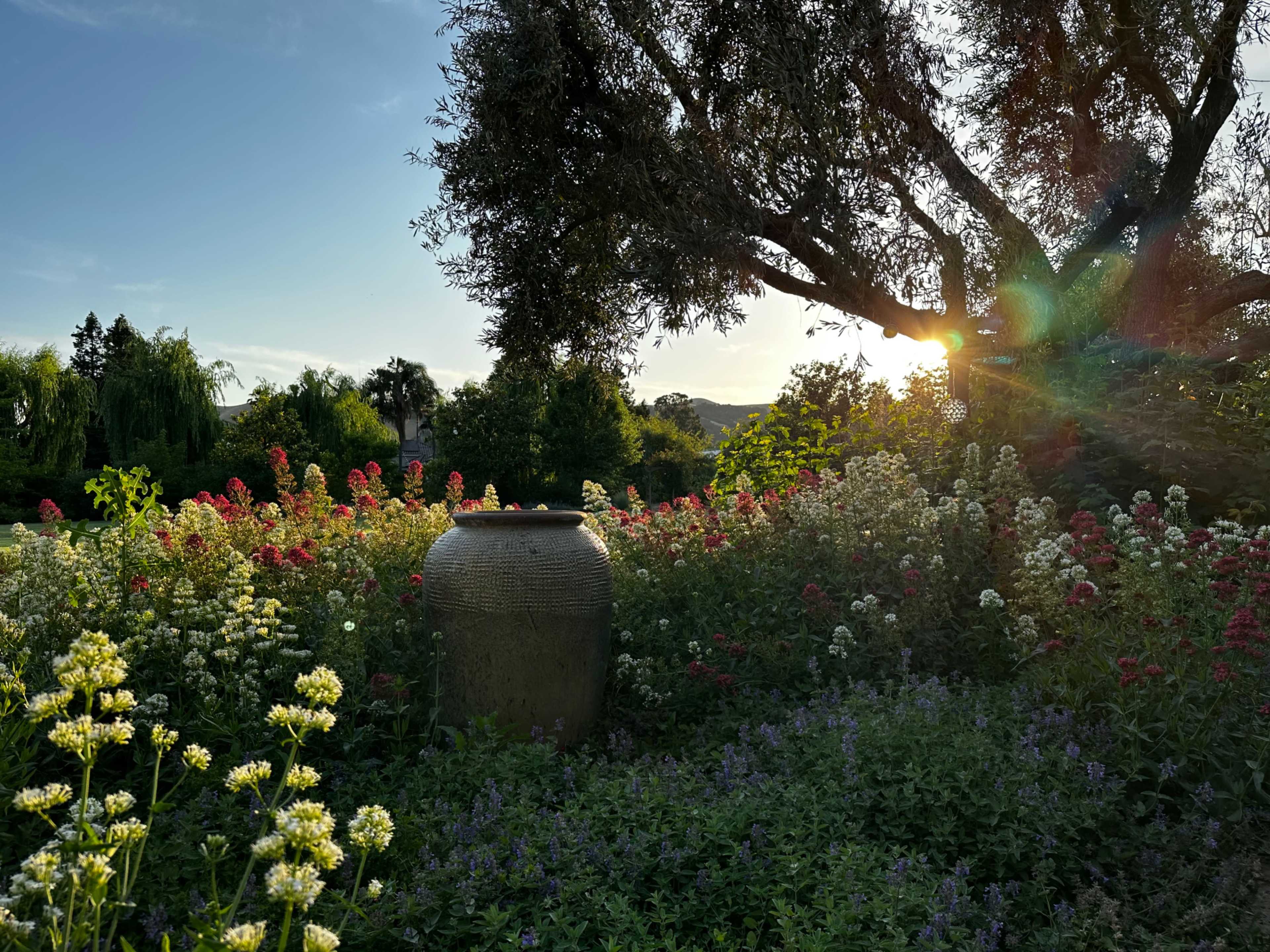 A large clay pot sits amid a garden filled with colorful flowers under a bright sky.