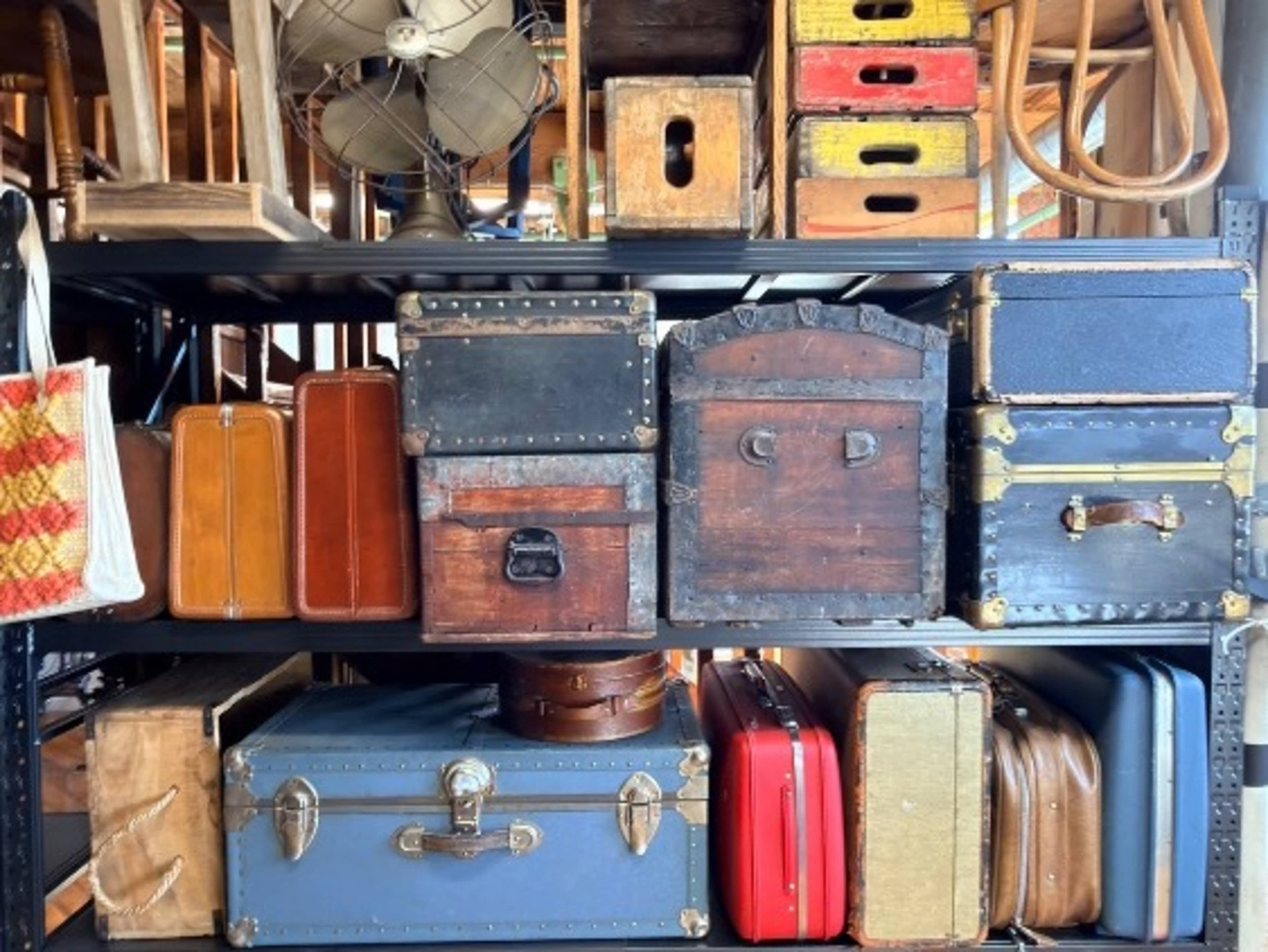 Curated Vintage Props – Full Access