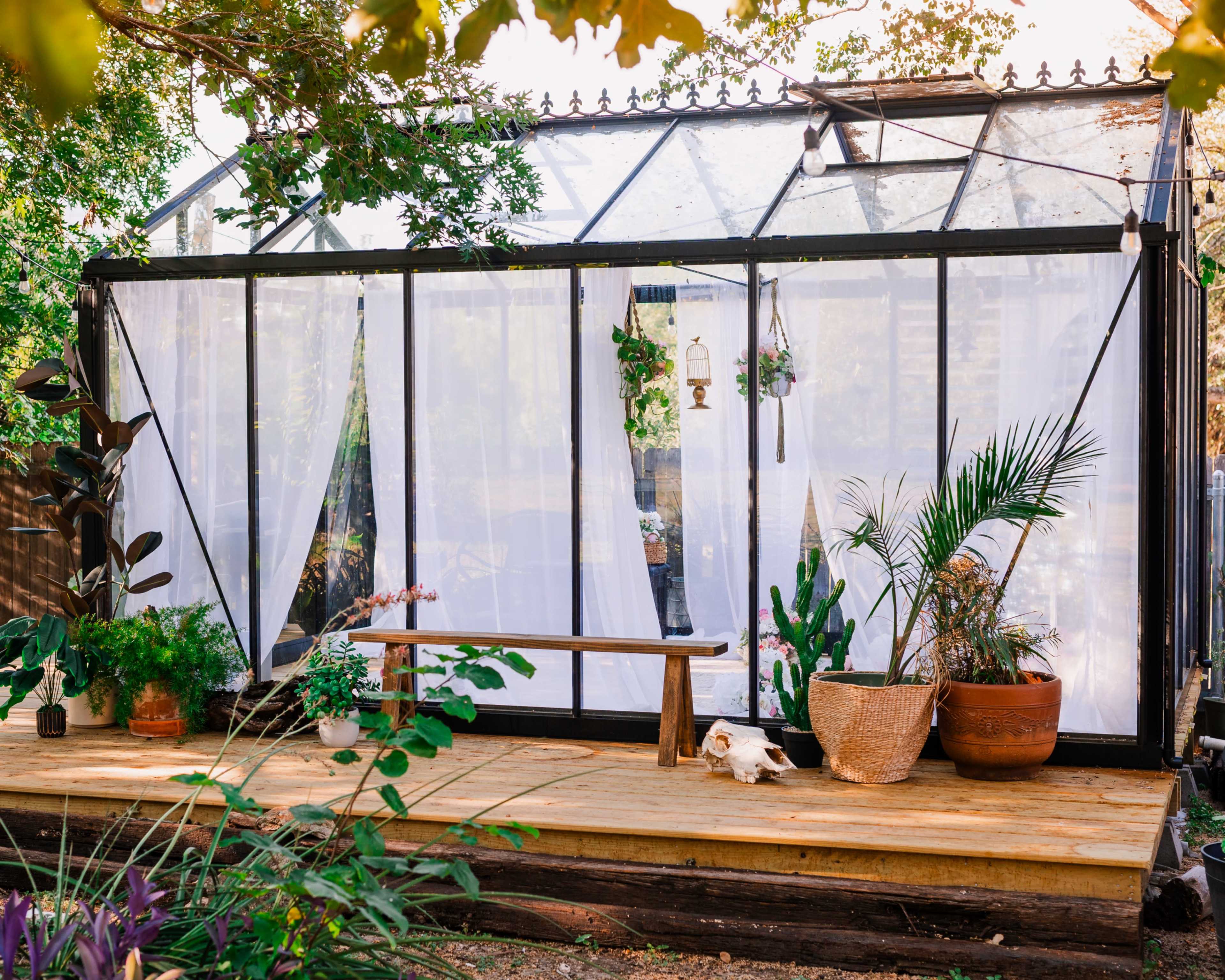 A modern greenhouse with transparent walls and a wooden deck is surrounded by various potted plants and a bench.