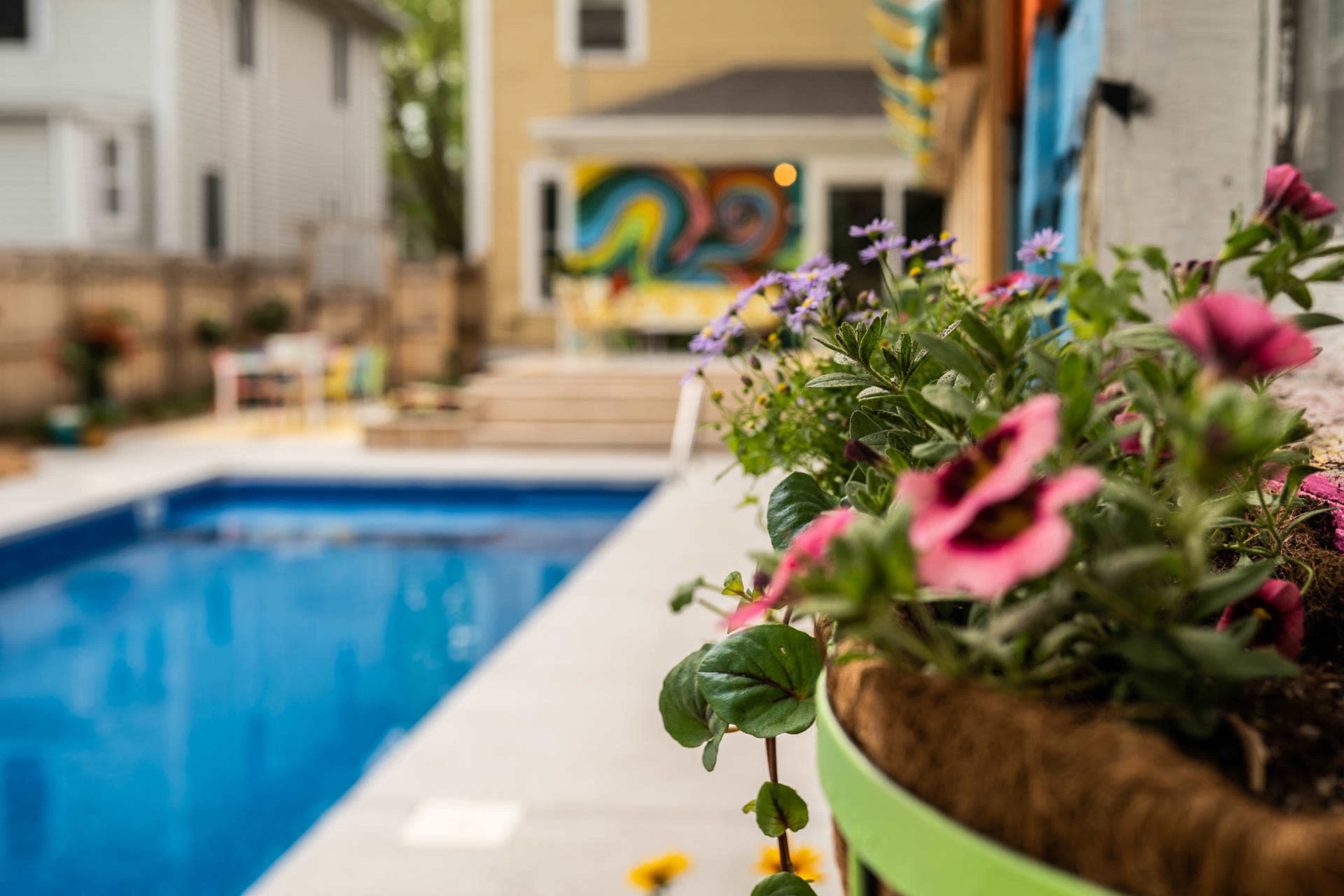 A vibrant garden with blooming flowers is positioned in the foreground, while a swimming pool and colorful mural are visible in the background of a residential backyard.