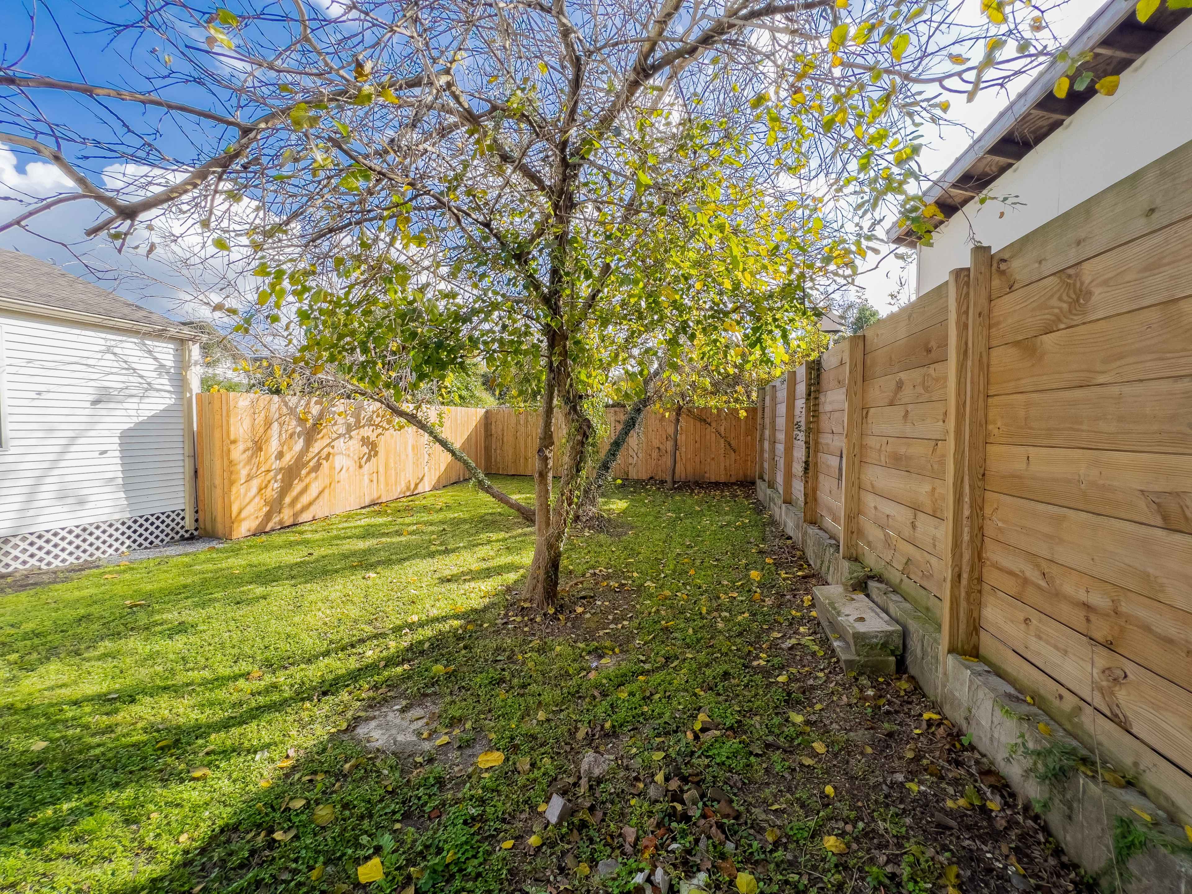 A corner of a backyard features a bare tree surrounded by a grassy area, bordered by wooden fences.