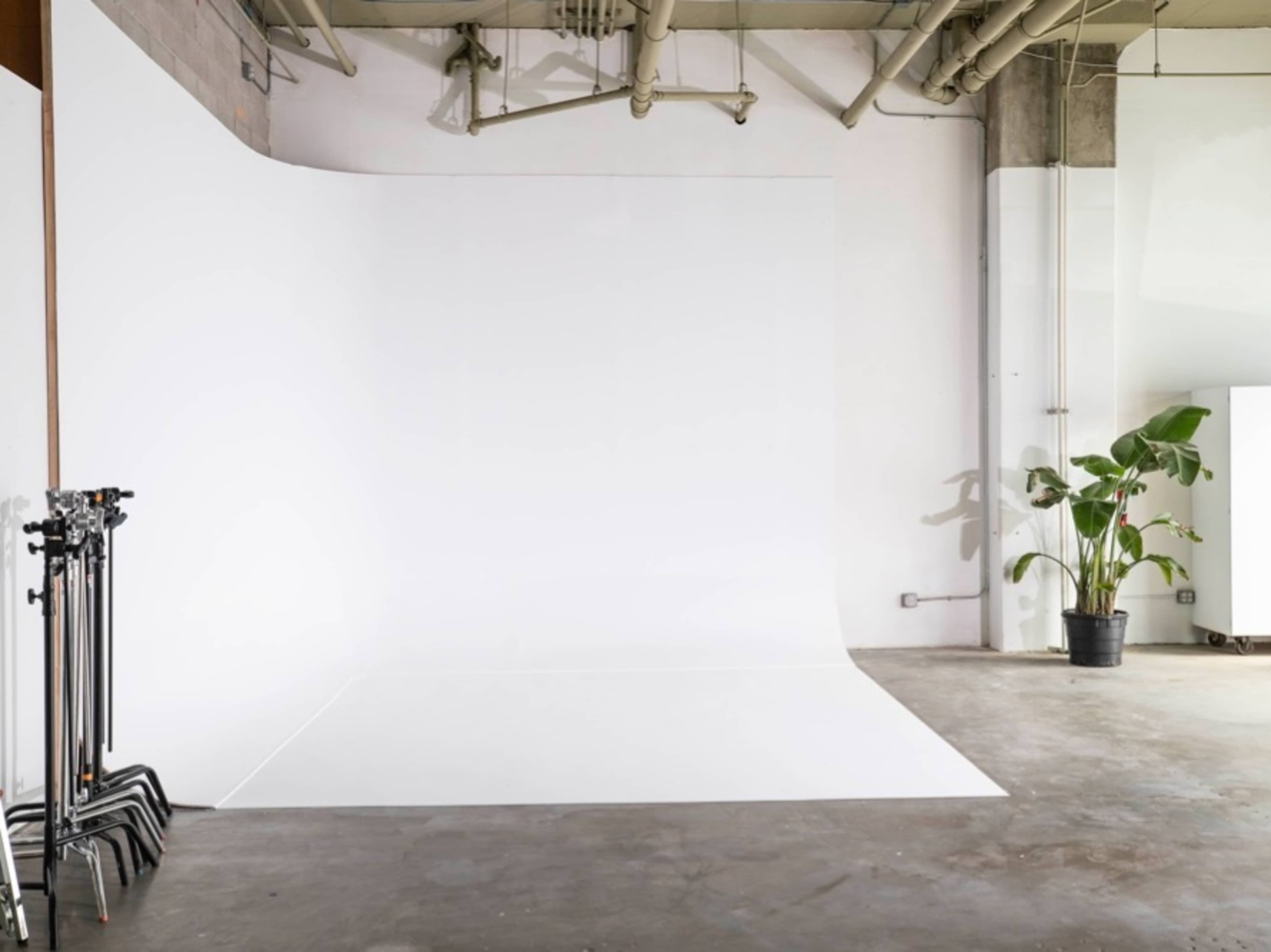 White Cyclorama / Curved wall Paint