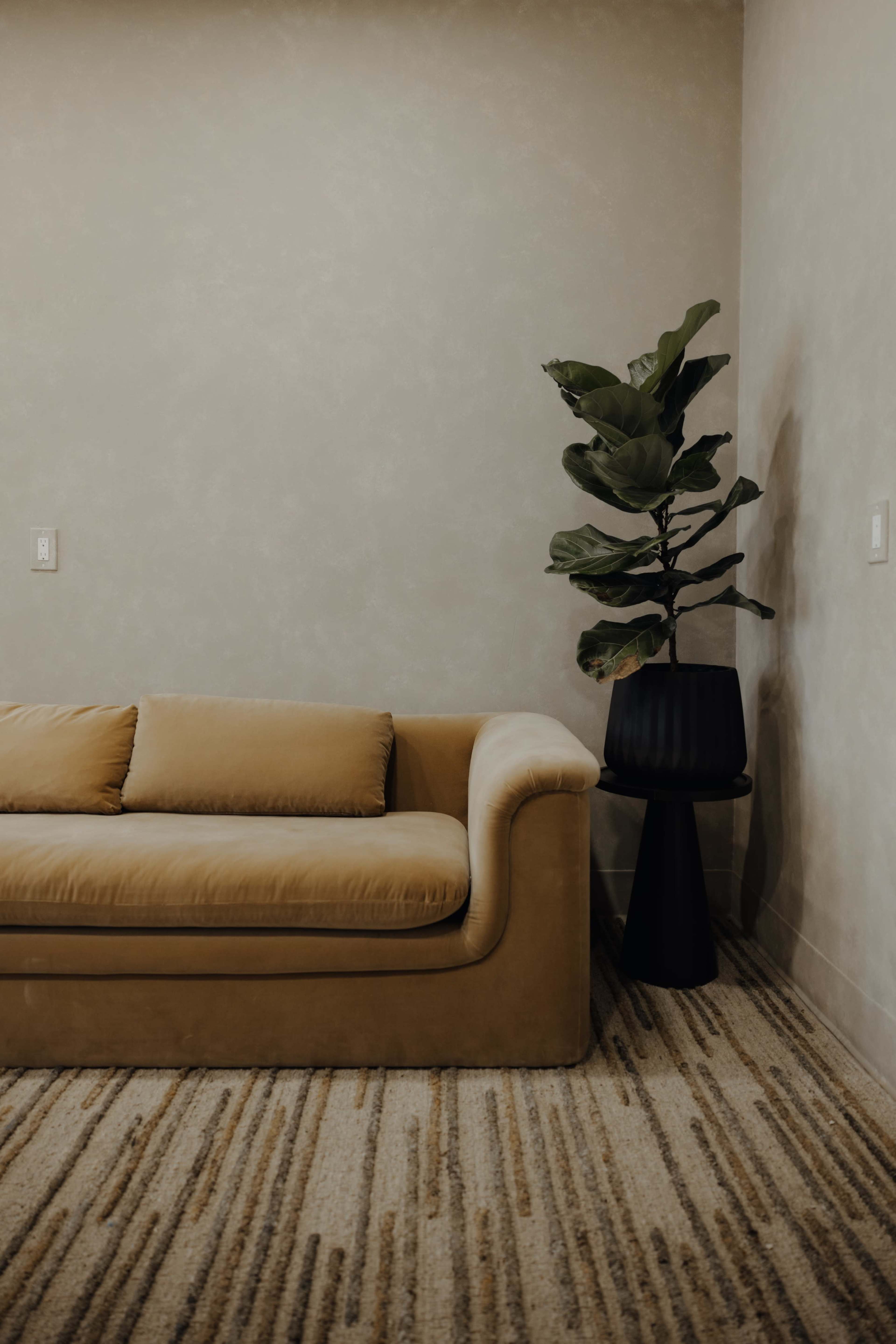 Neutral Organic Office Lounge Image in Whittier, Whittier, CA