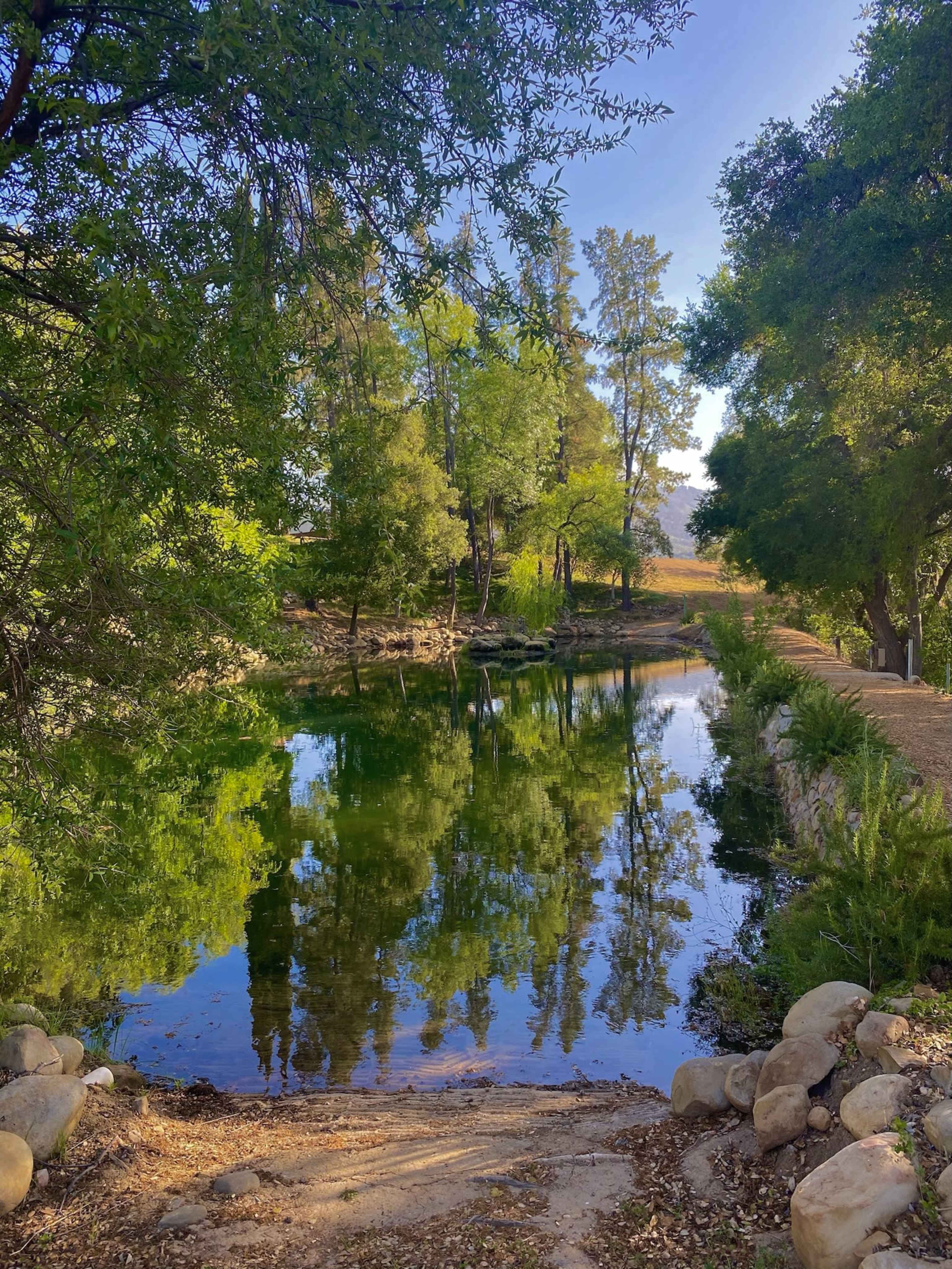 A calm pond is surrounded by trees, reflecting the clear blue sky and greenery on its surface.