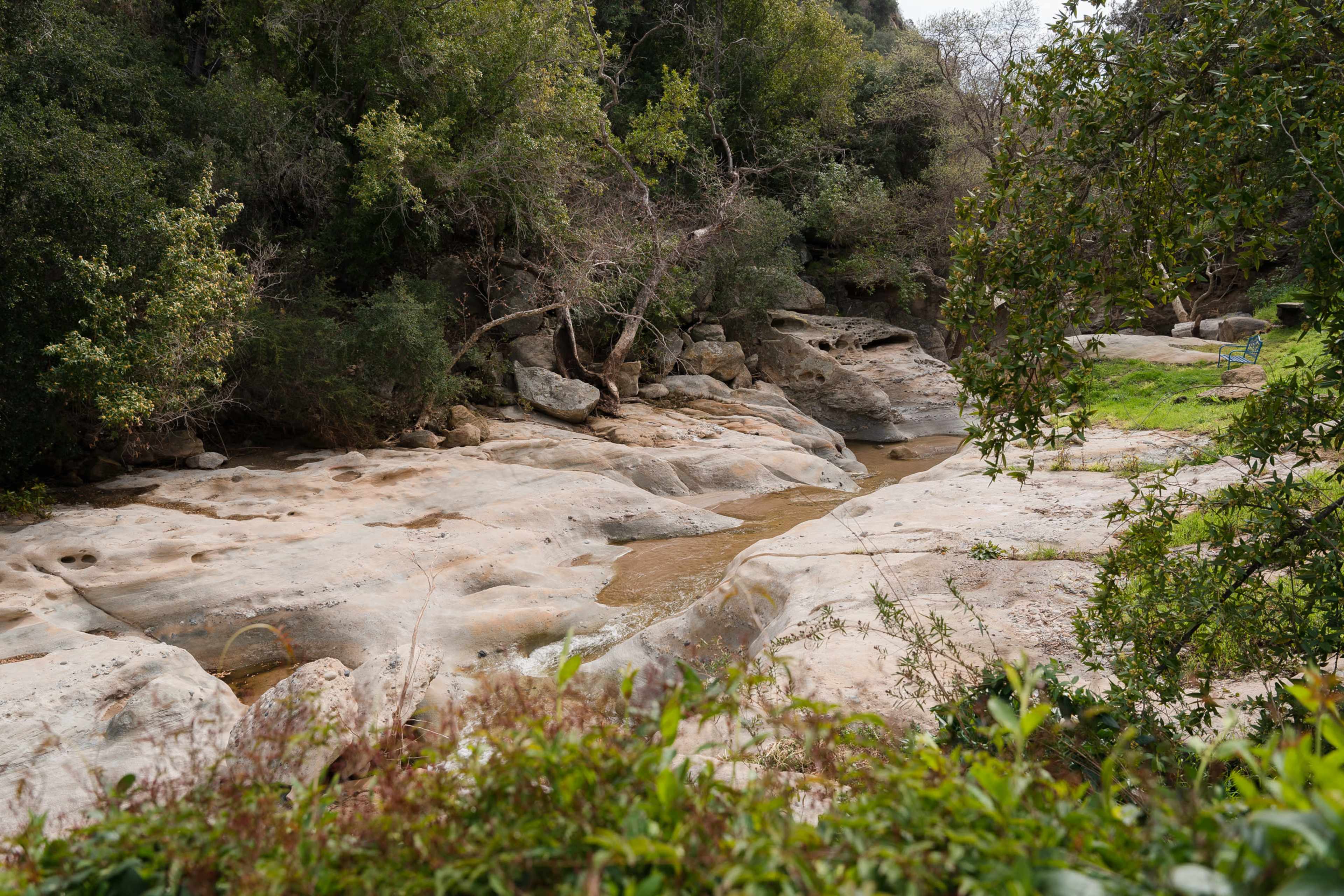 A rocky riverbed is bordered by trees and bushes in a natural setting.