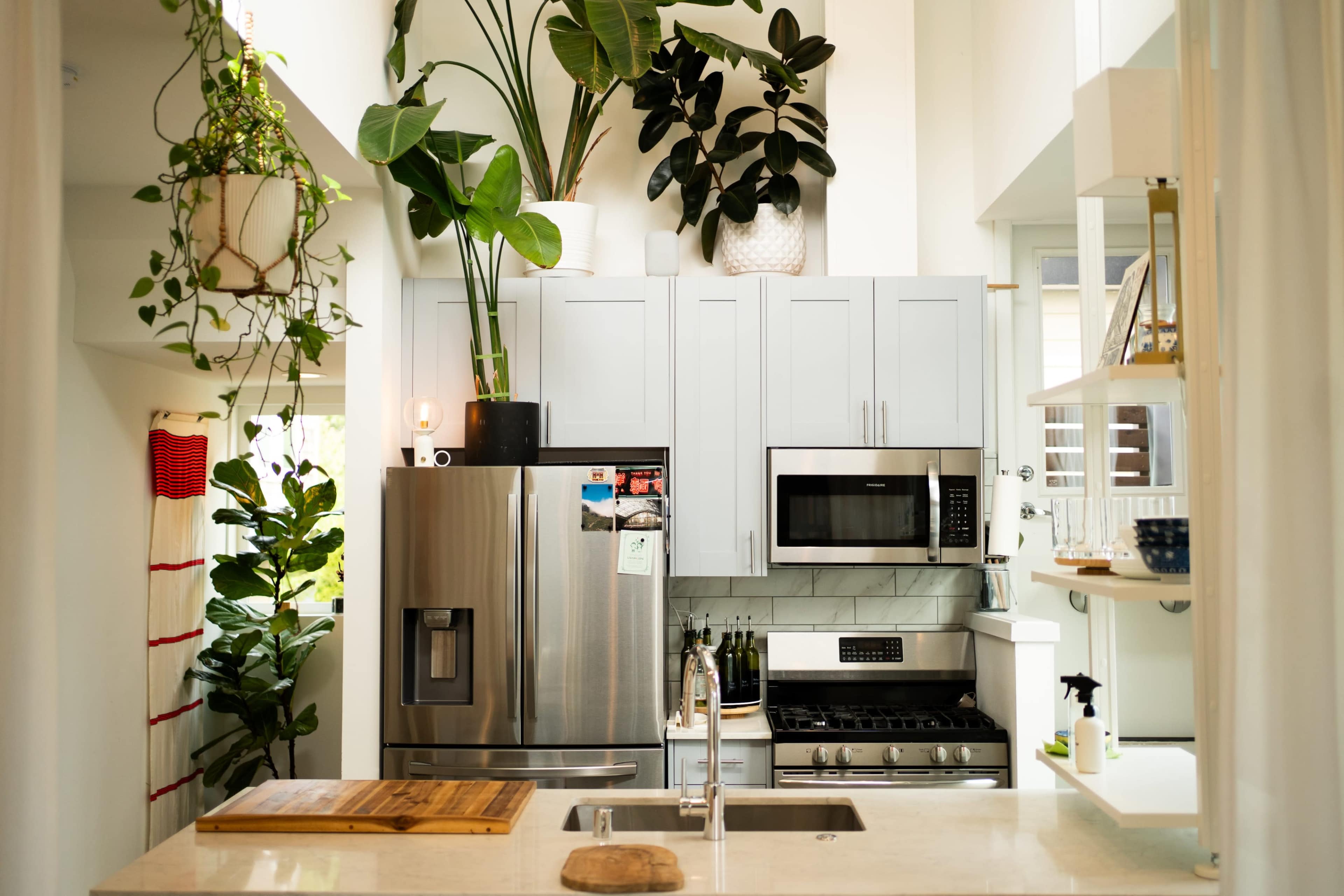 A modern kitchen features stainless steel appliances, light gray cabinetry, and large plants decorating the space.