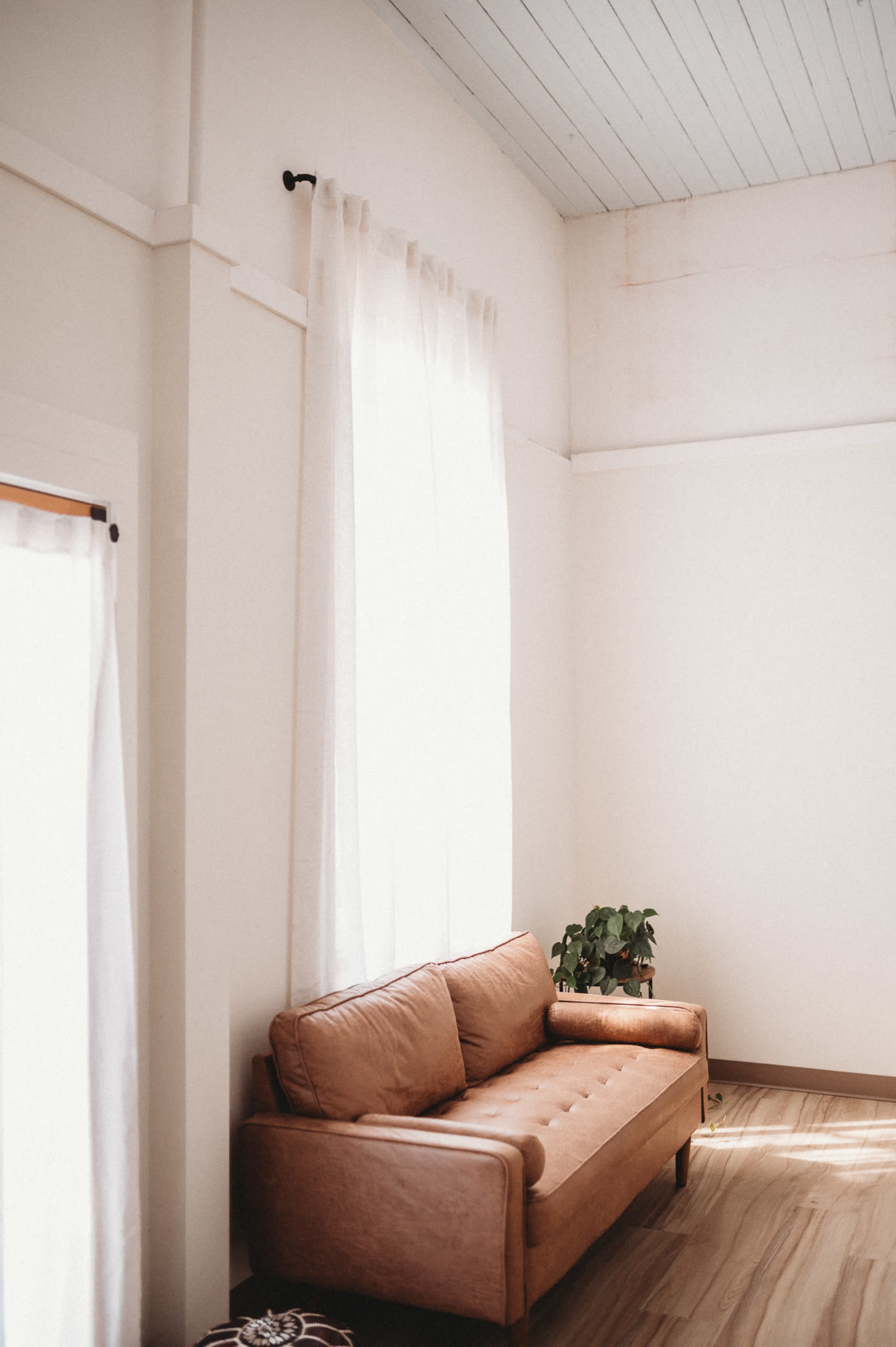 A brown sofa sits against a light-colored wall in a room with large windows and natural light.