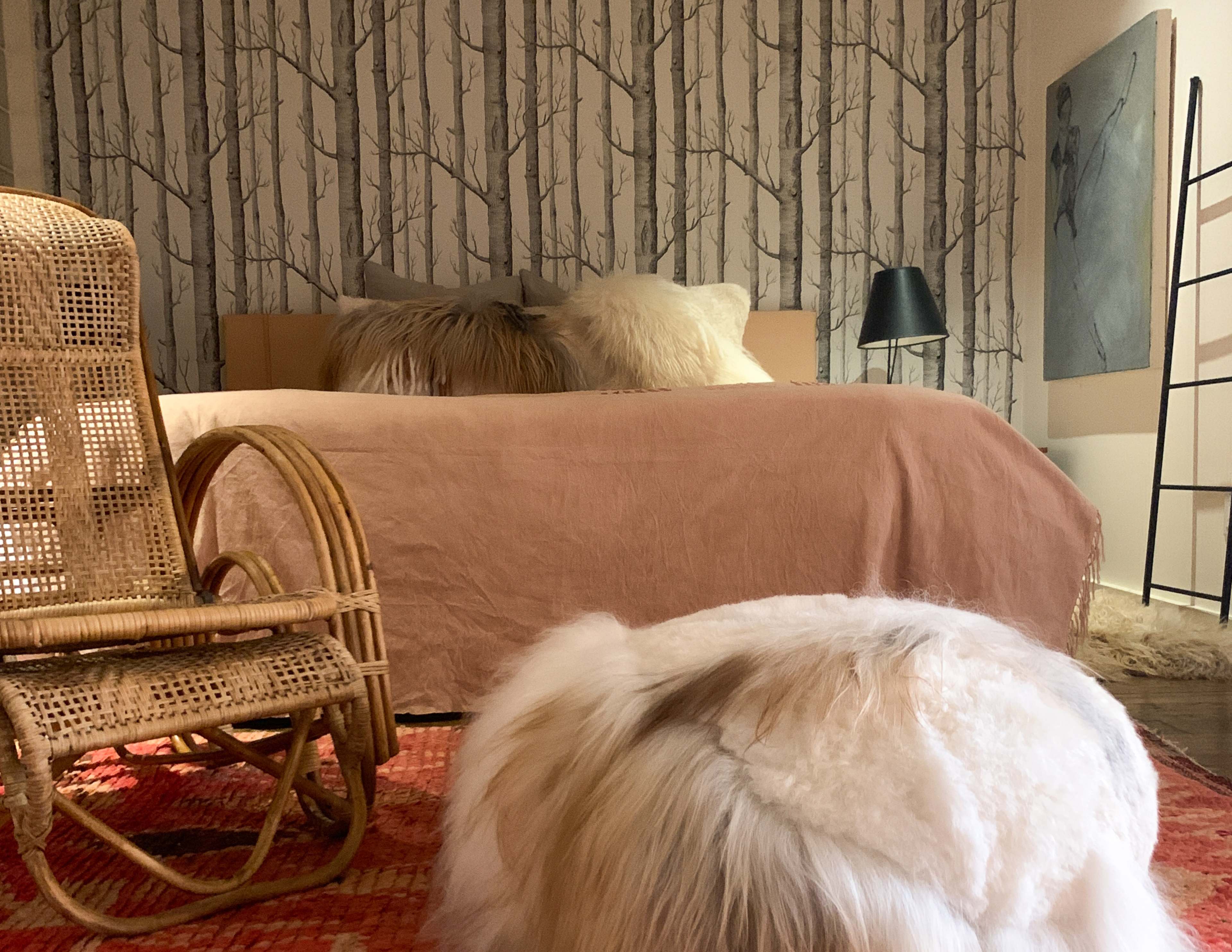 A cozy bedroom with a bed positioned against a wall featuring tree-patterned wallpaper, a wicker chair, and a fluffy dog on a patterned rug.