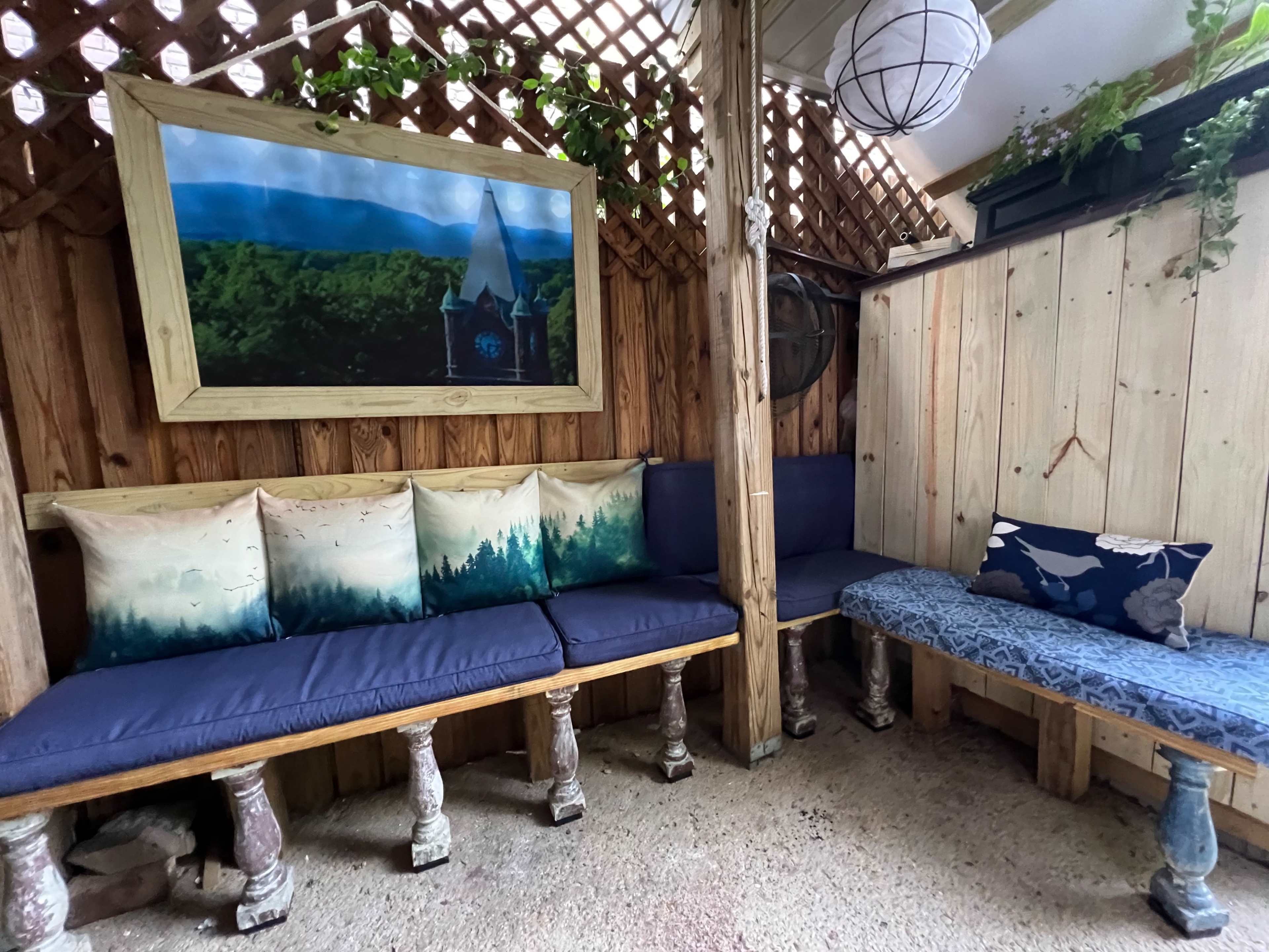 Hidden Garden Oasis on Capitol Hill Image in Capitol Hill, Washington, DC