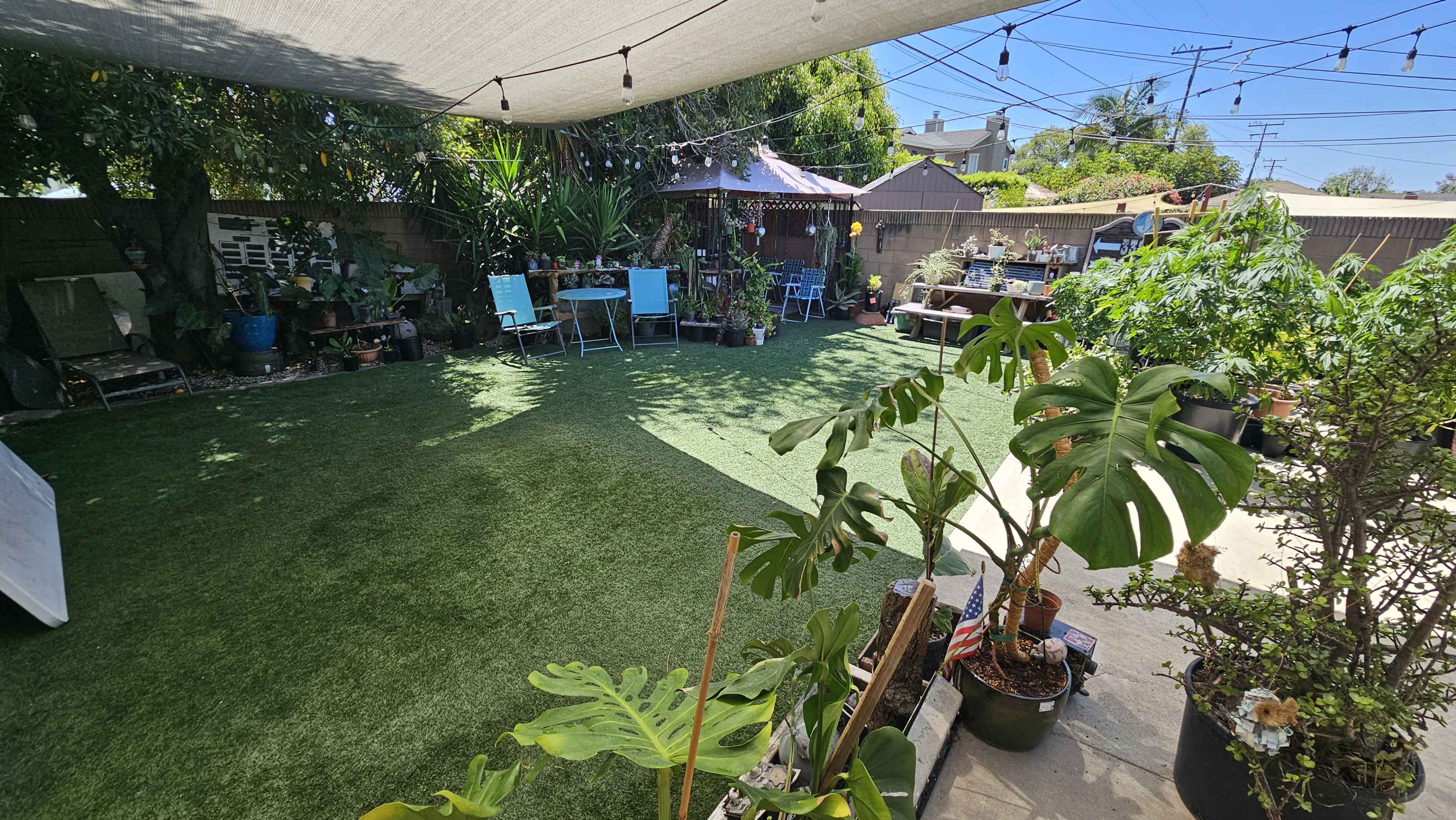 Urban Garden Oasis: Intimate Space for Events, Weddings, Parties Image in Los Altos, Long Beach, CA