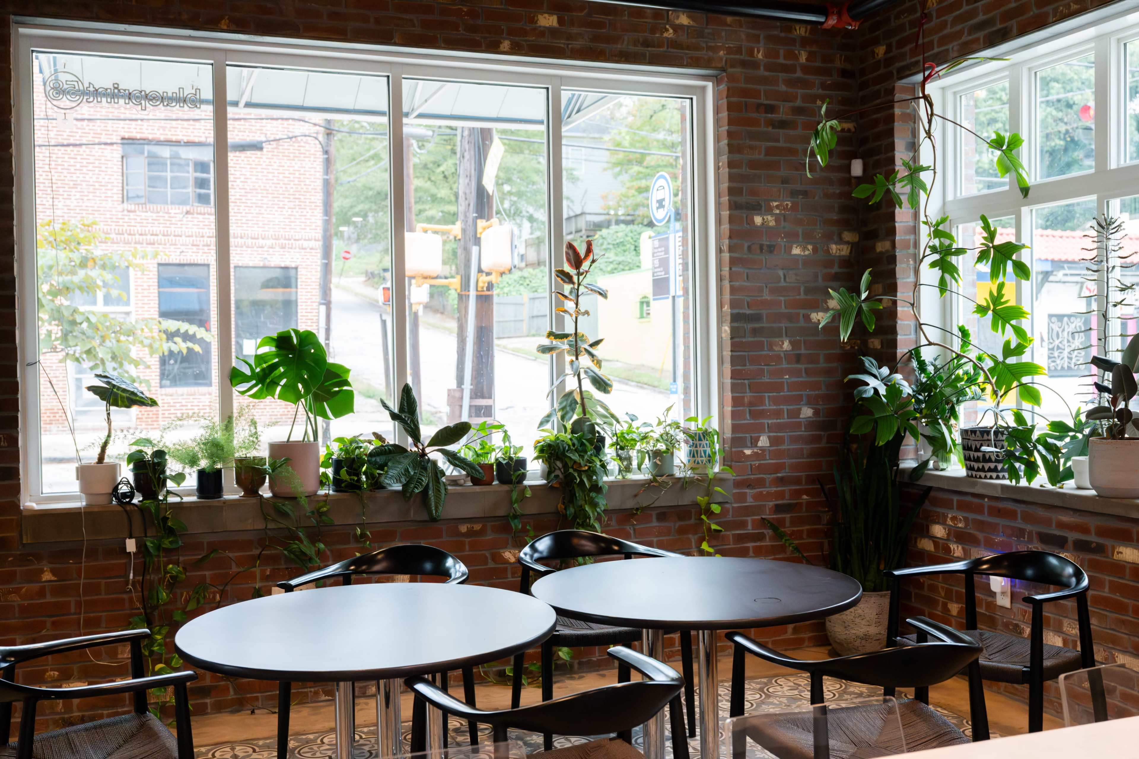 The image shows a cozy cafe interior with brick walls, large windows, and several tables surrounded by various indoor plants.