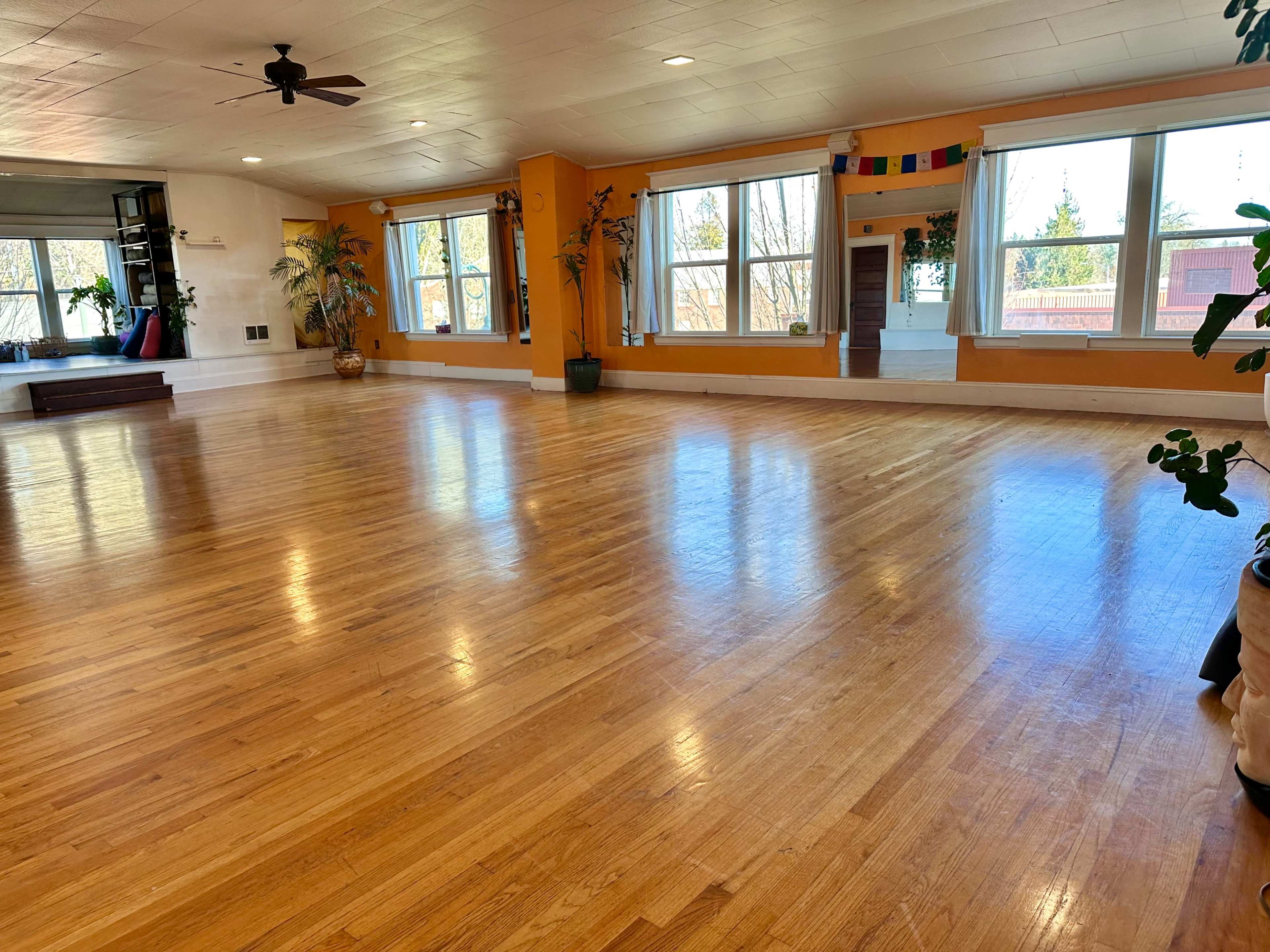 A spacious, empty room with wooden floors, large windows, and plants along the walls.