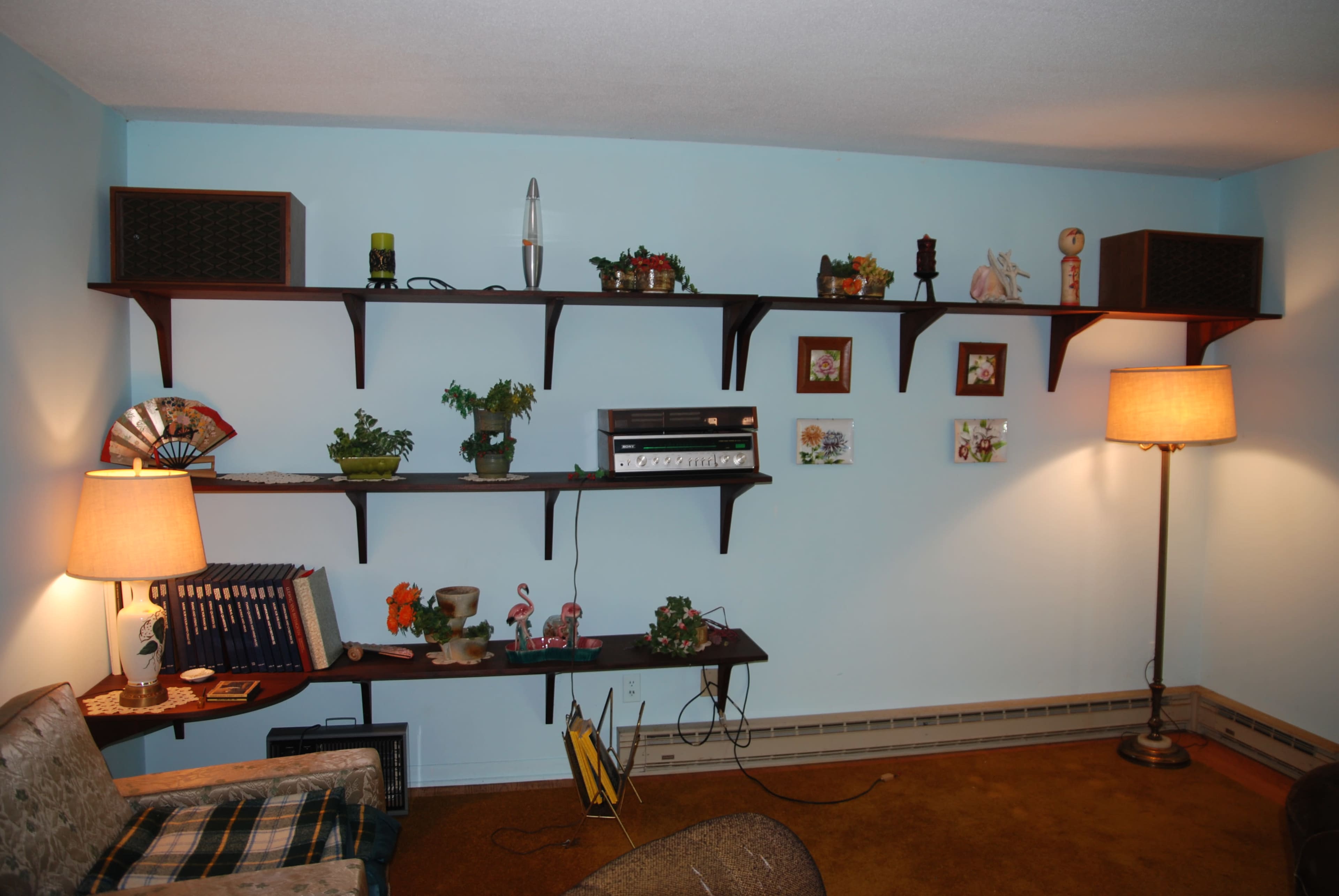 A living room features a light blue wall with floating wooden shelves displaying potted plants, decorative items, and framed pictures, accompanied by two lamps casting soft light.
